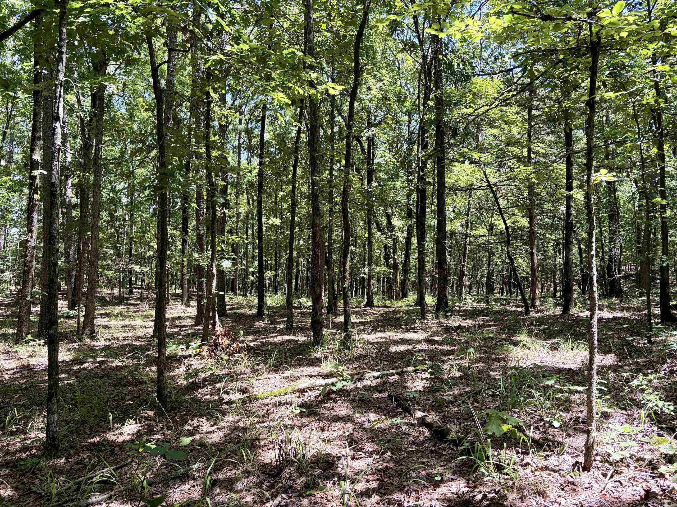 000 Hwy 28 Property Photo 39