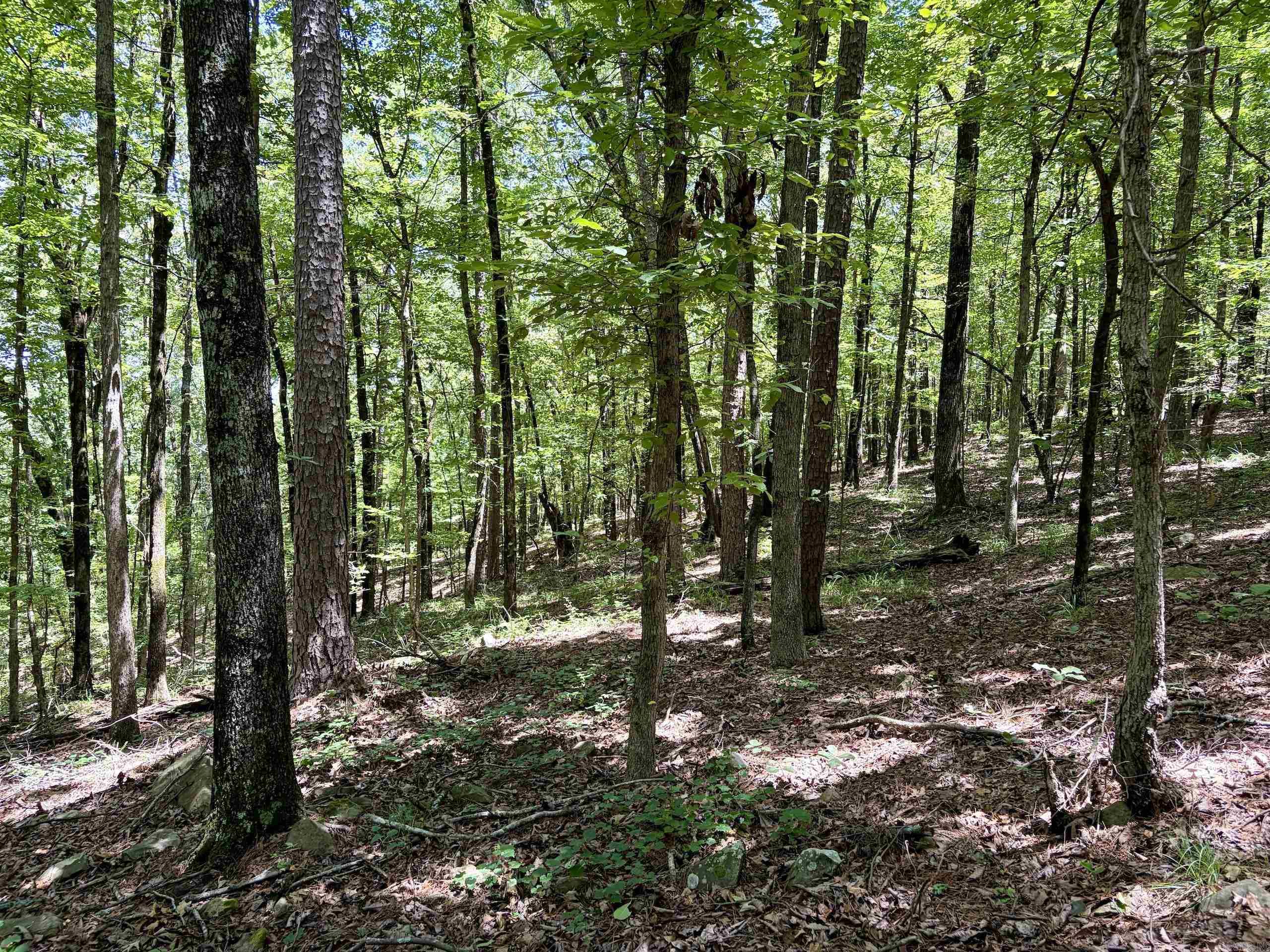 000 Hwy 28 Property Photo 44