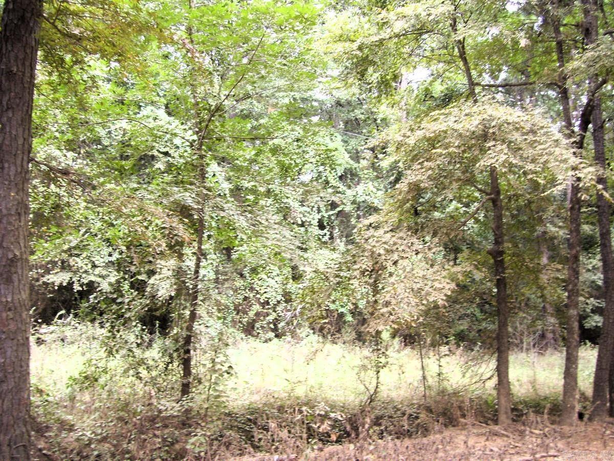 120 Little River 180 Property Photo 18