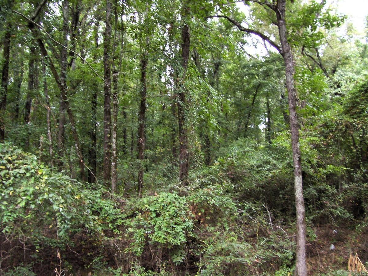 120 Little River 180 Property Photo 19