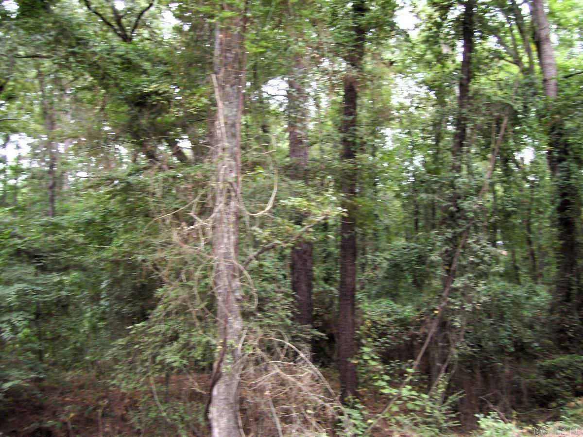 120 Little River 180 Property Photo 26