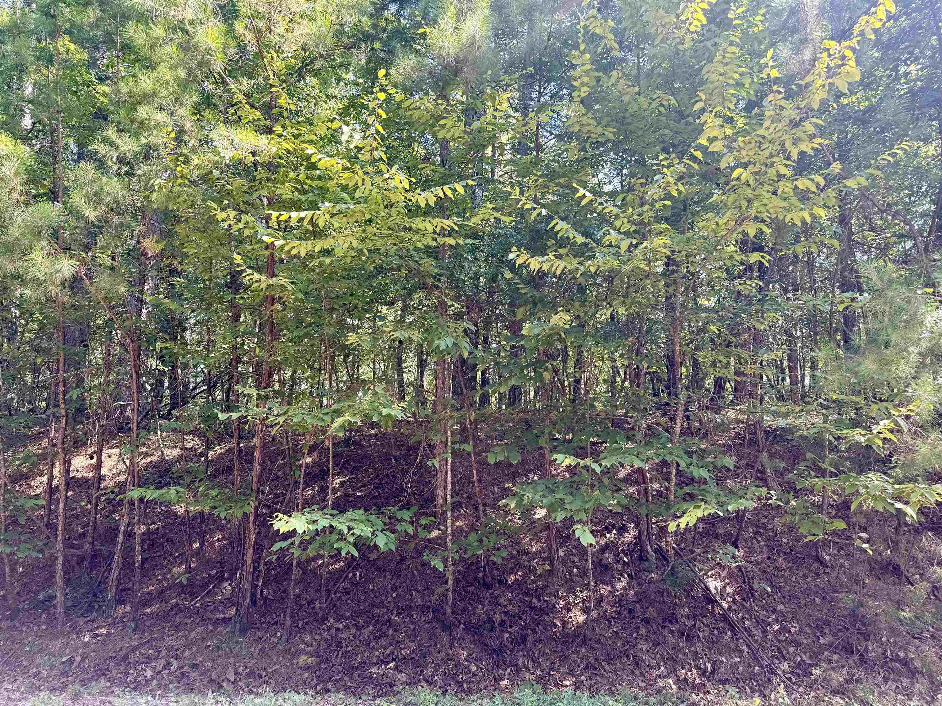 Lot 11 Fenix Way Property Photo 2