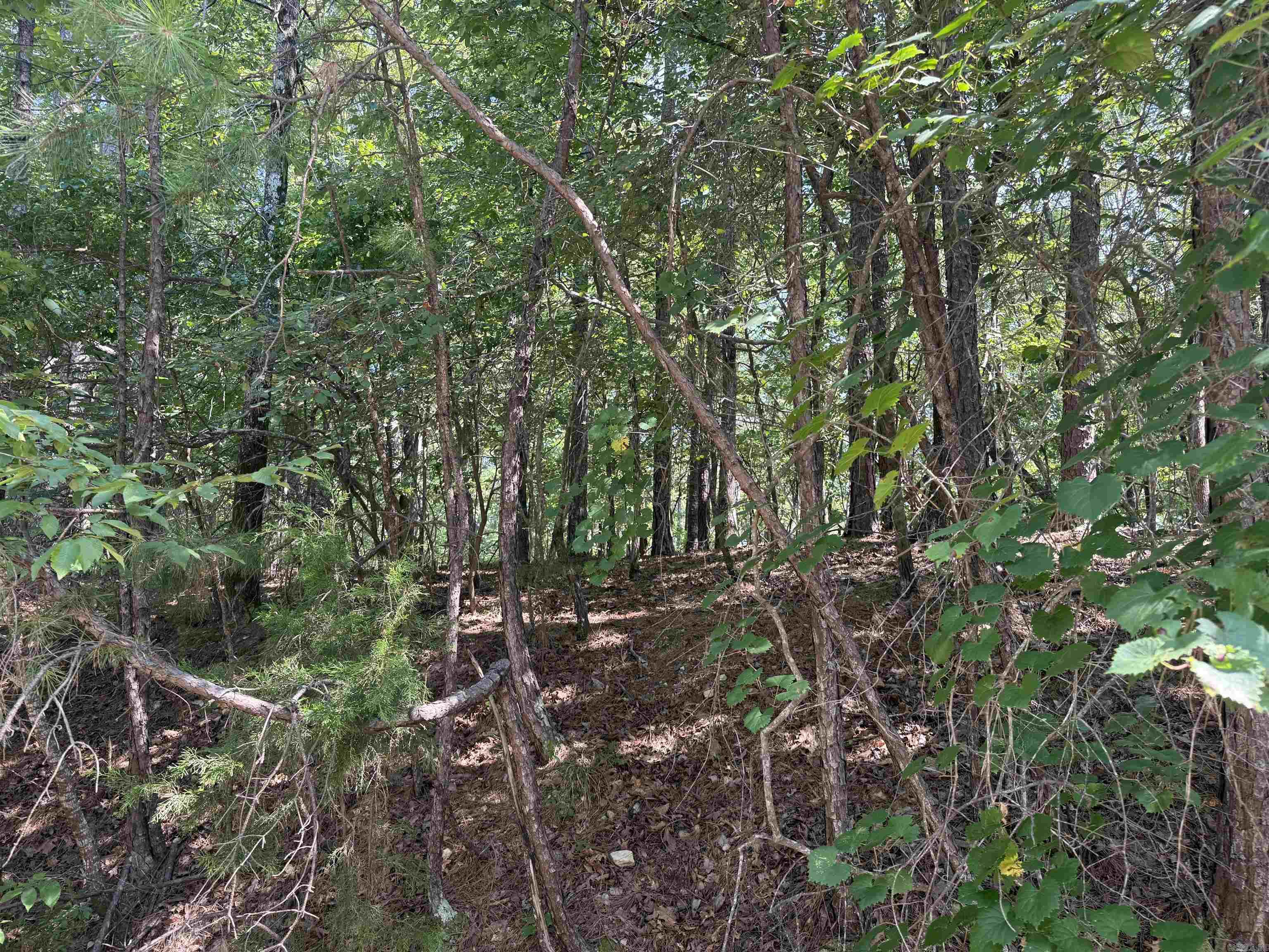 Lot 11 Fenix Way Property Photo 3