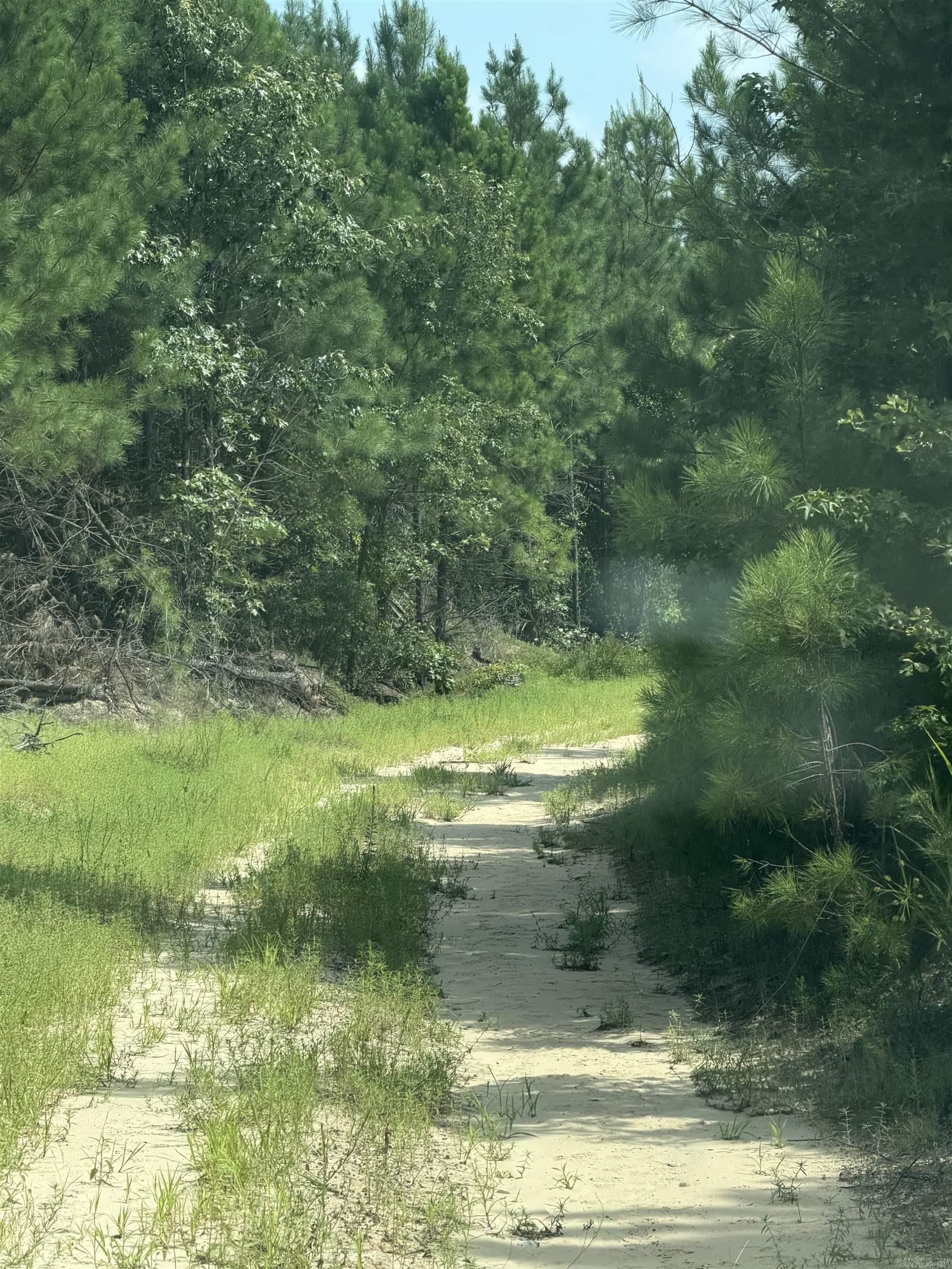 Tbd Nevada 46 Roads Property Photo 3