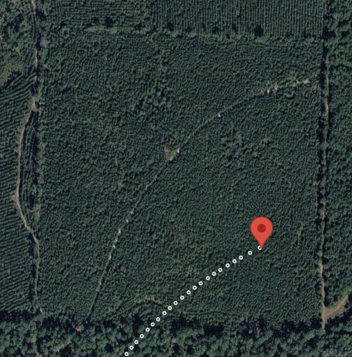 Tbd Nevada 46 Roads Property Photo 4