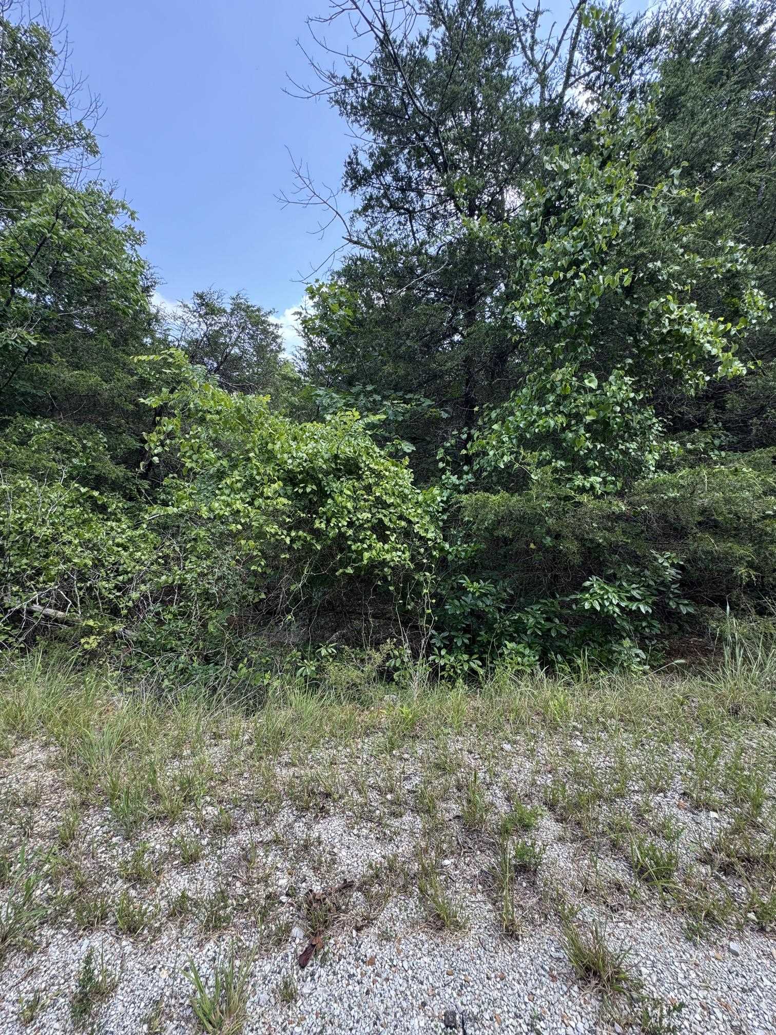 Susquehanna Drive Property Photo 4