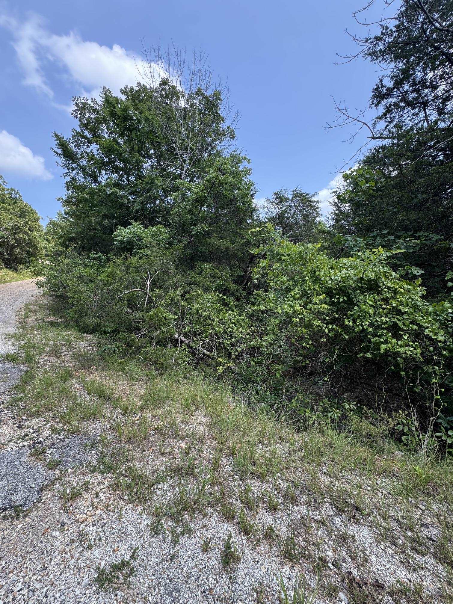 Susquehanna Drive Property Photo 5