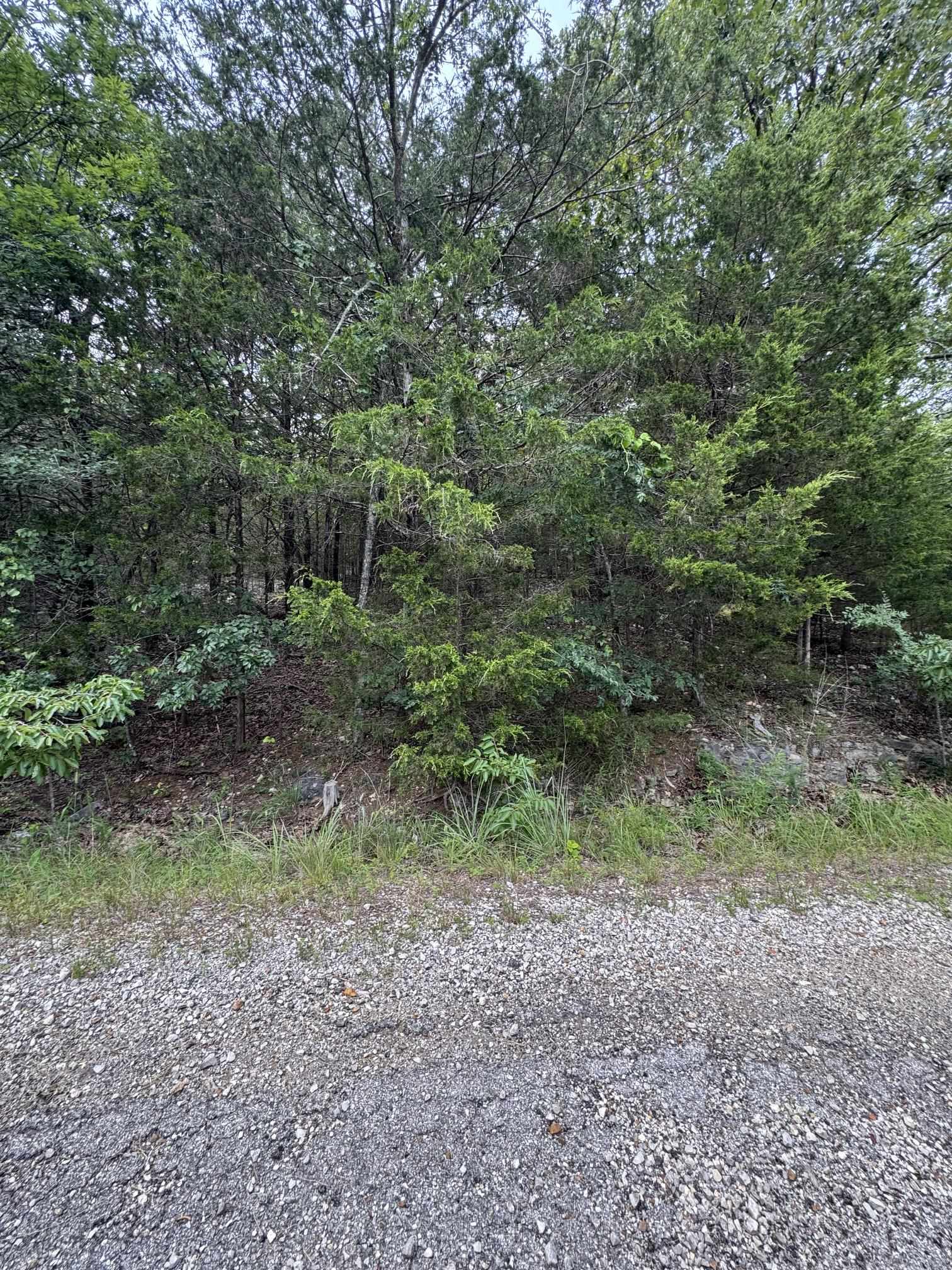 Susquehanna Drive Property Photo 7