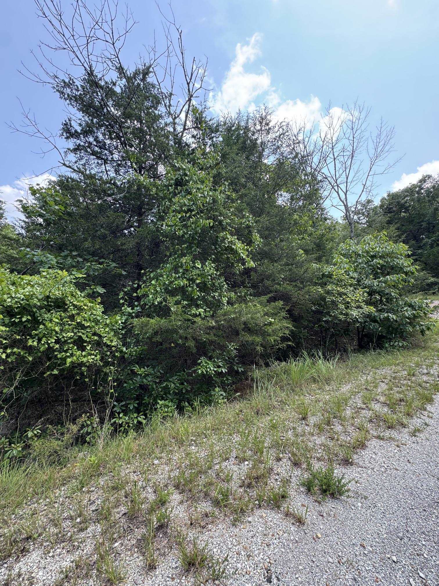 Susquehanna Drive Property Photo 8
