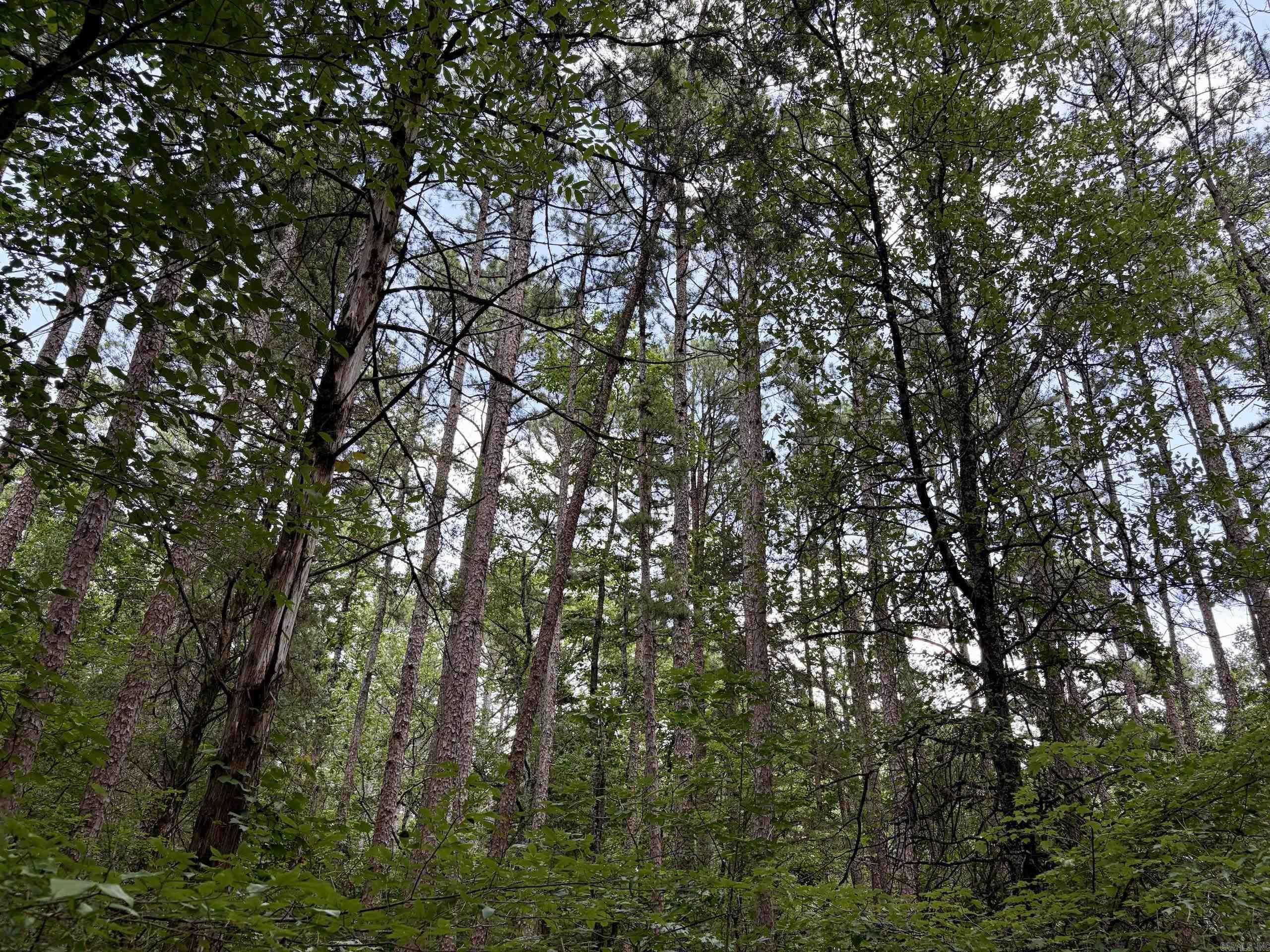 000 Bee Branch Road Property Photo 11