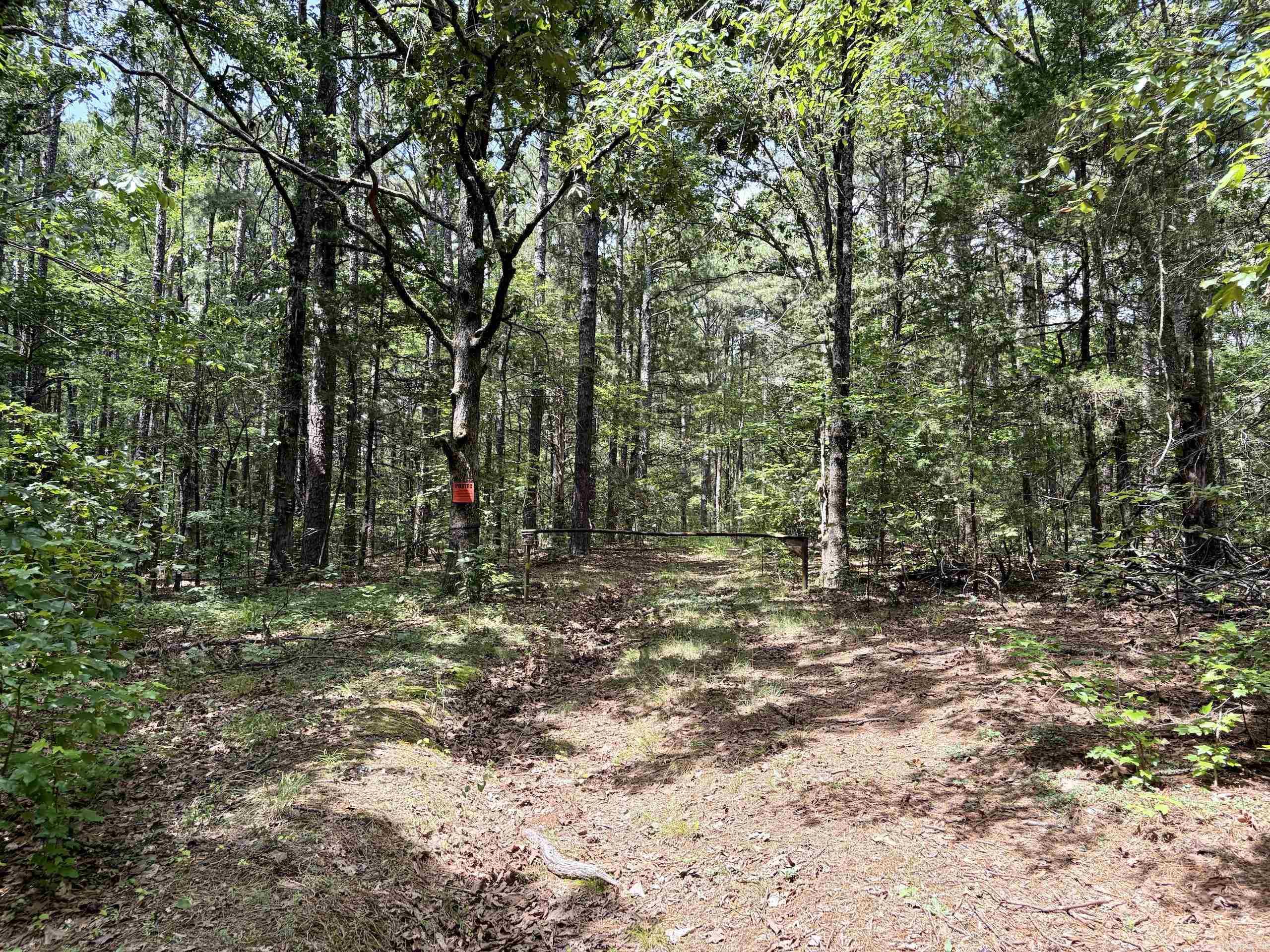 000 Bee Branch Road Property Photo 13