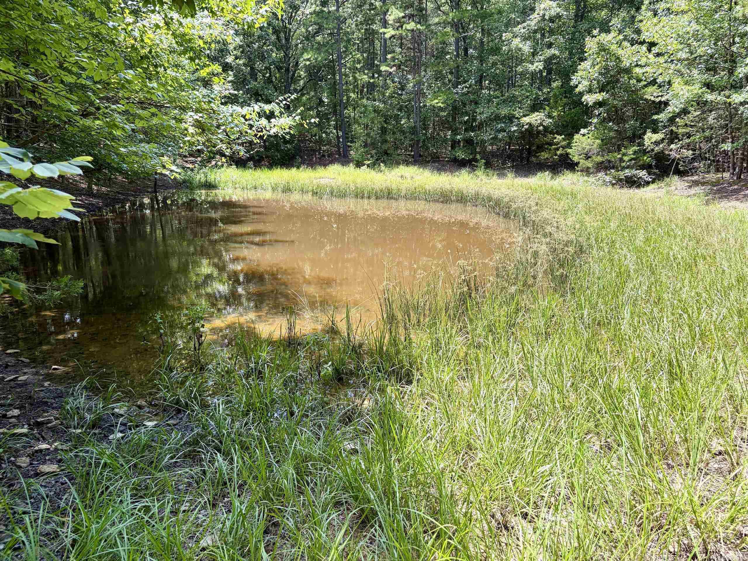 000 Bee Branch Road Property Photo 17