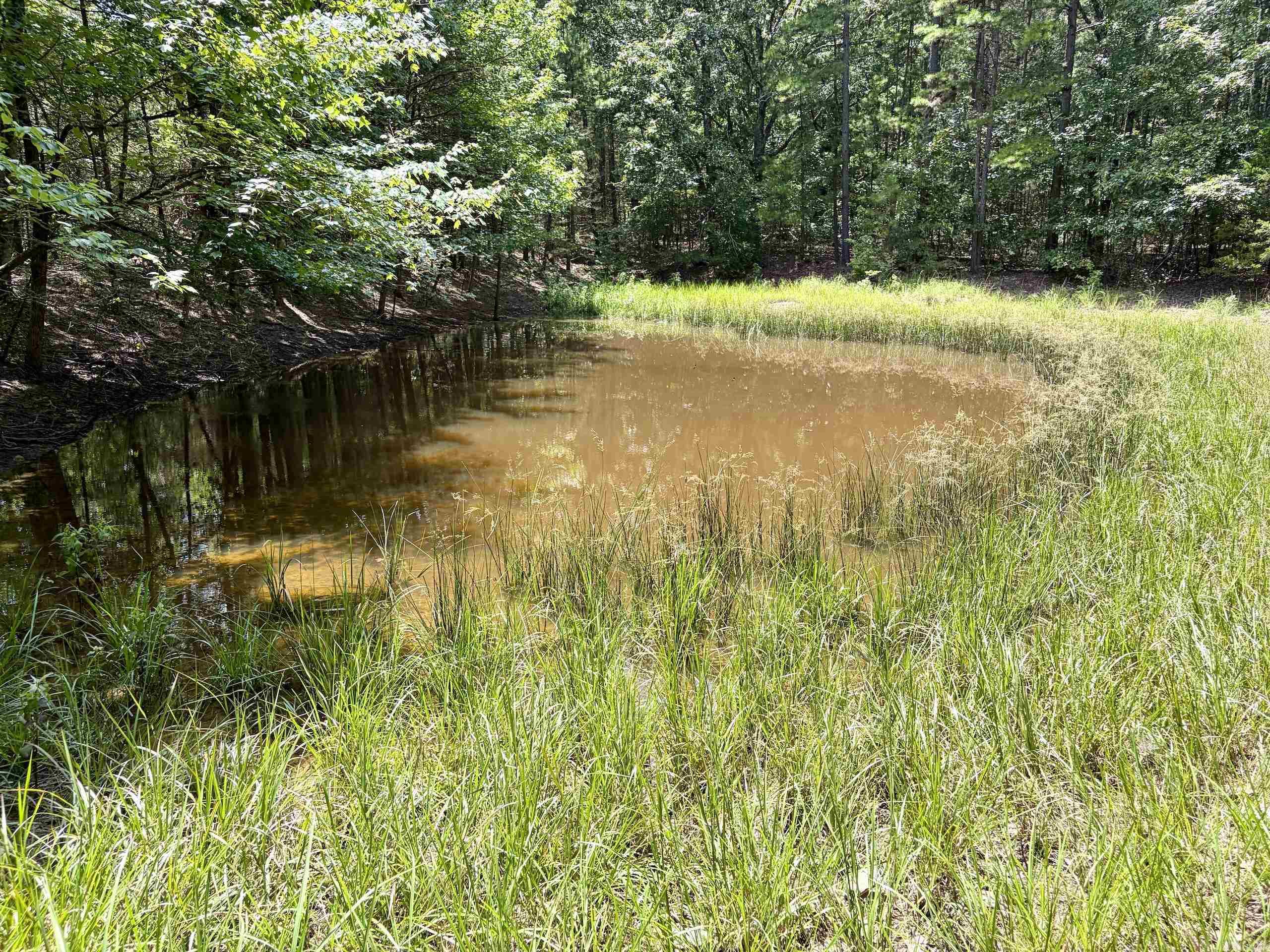 000 Bee Branch Road Property Photo 18