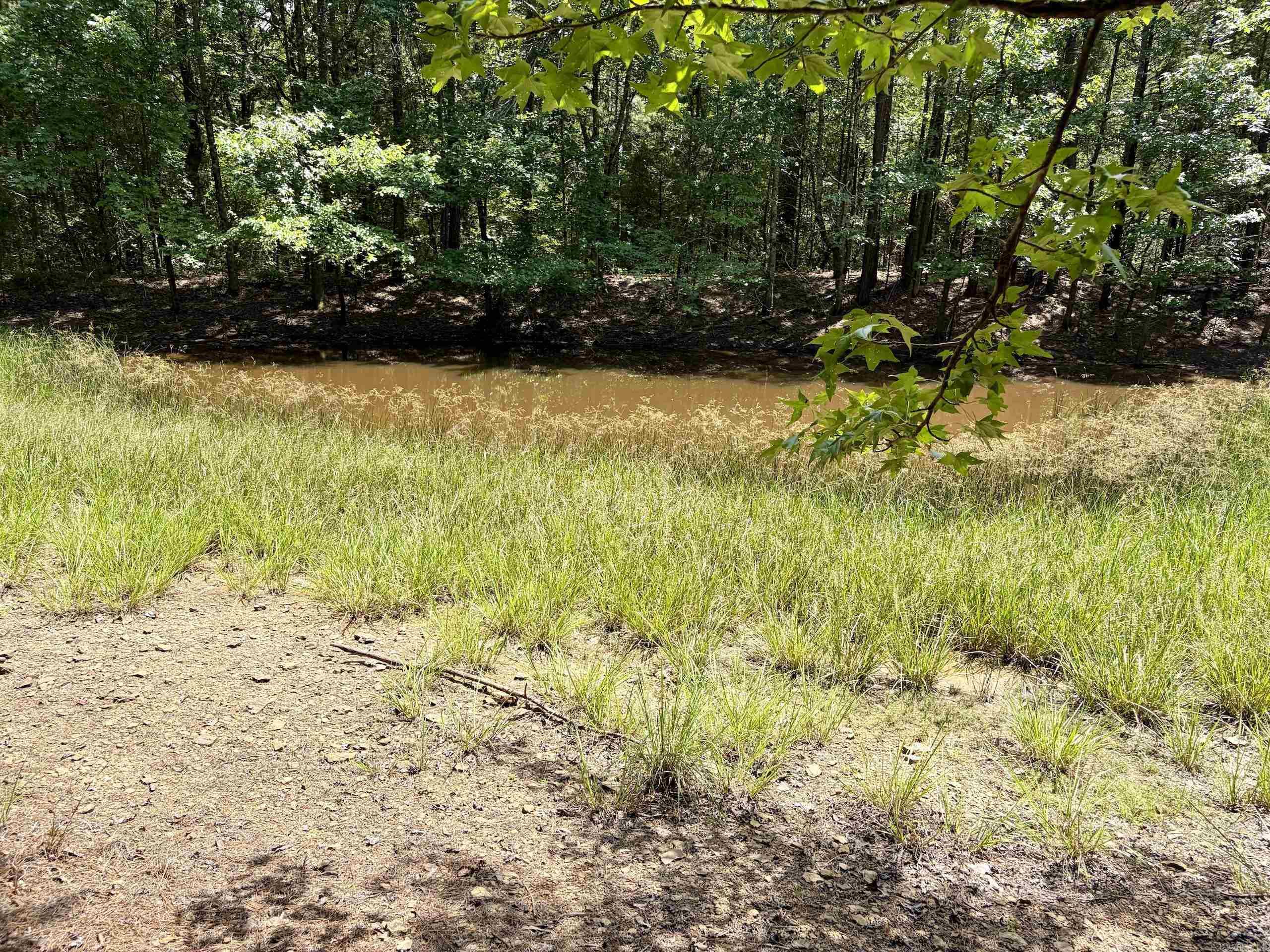 000 Bee Branch Road Property Photo 19