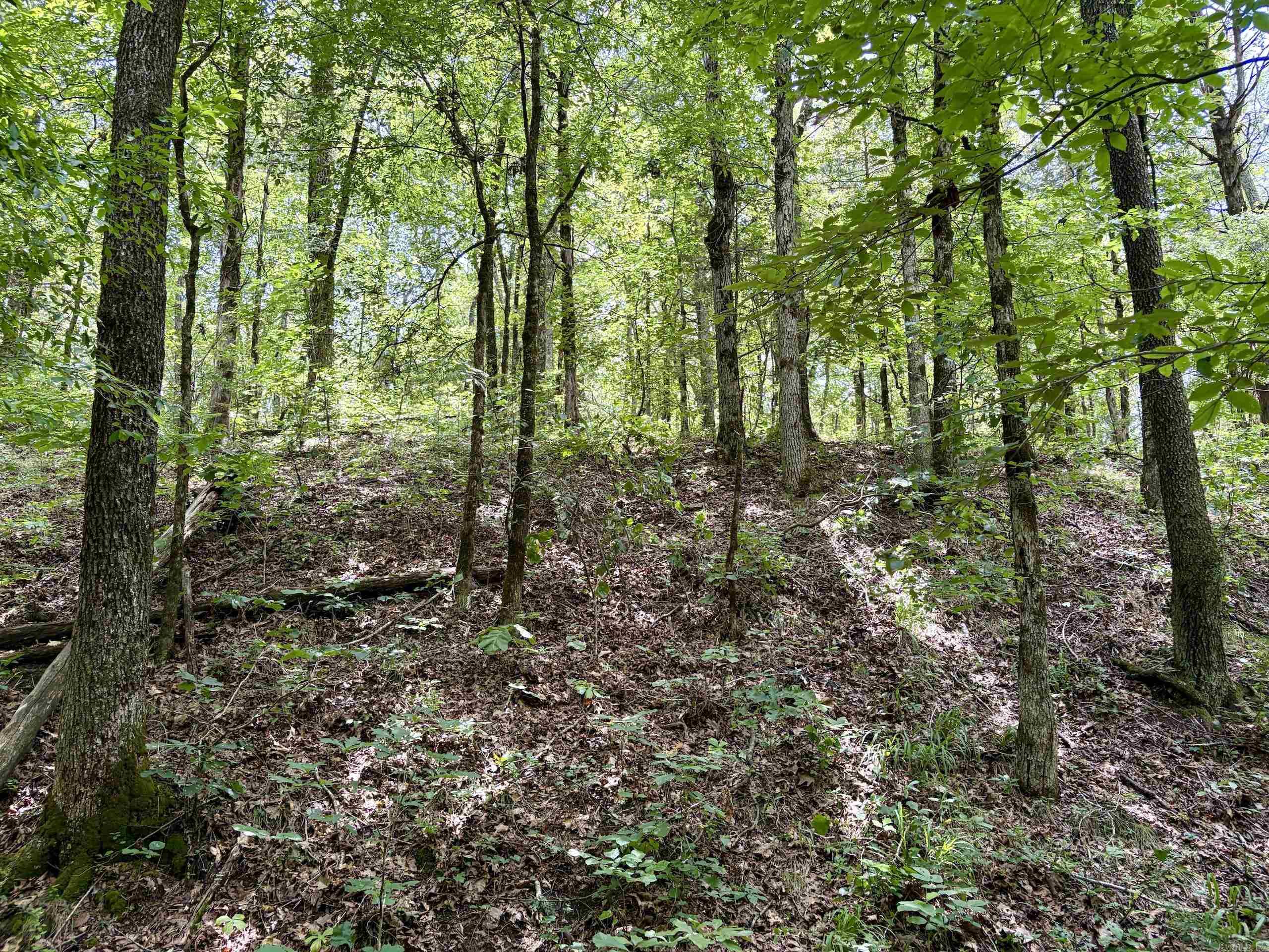 000 Bee Branch Road Property Photo 23