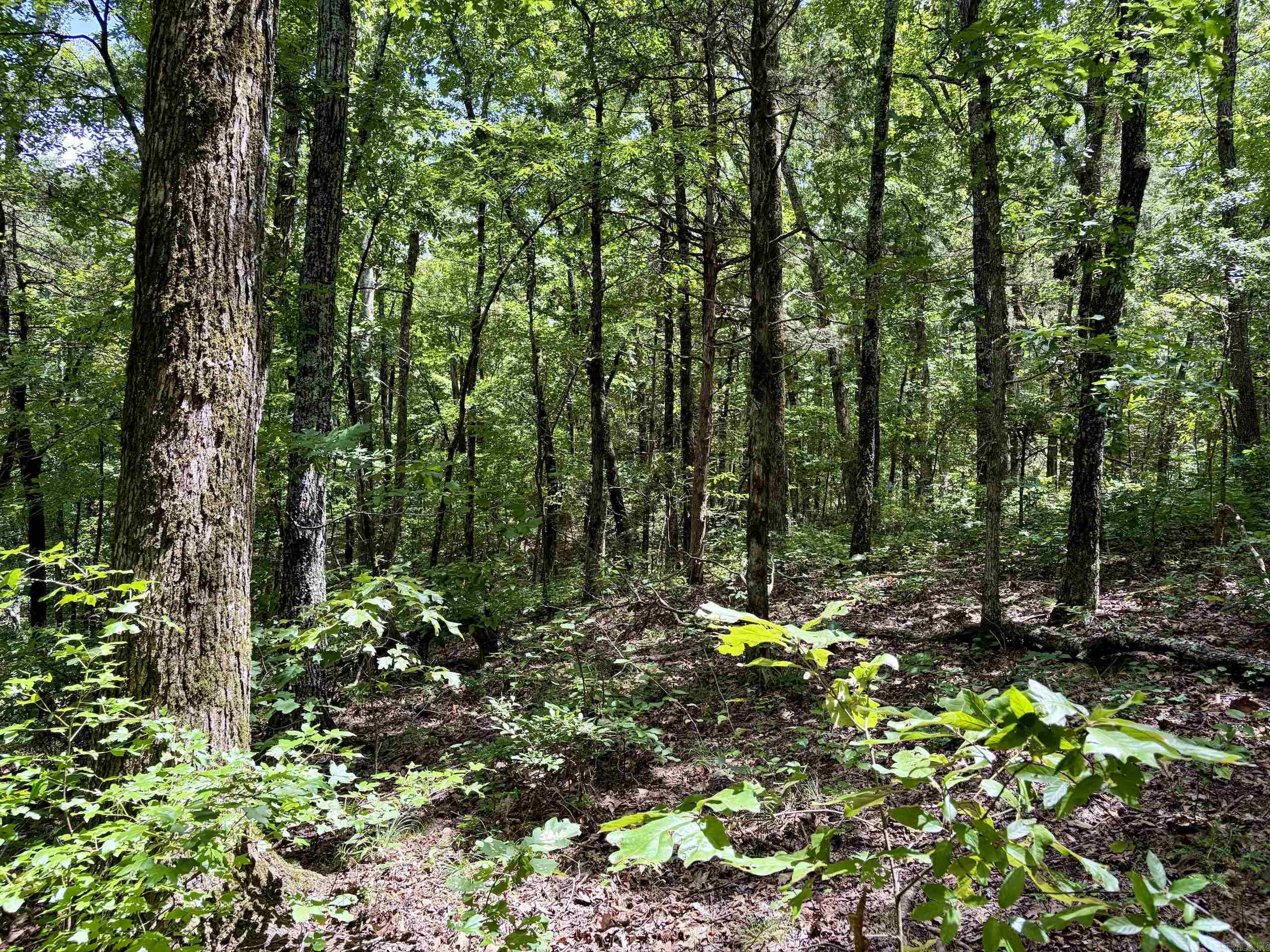 000 Bee Branch Road Property Photo 25