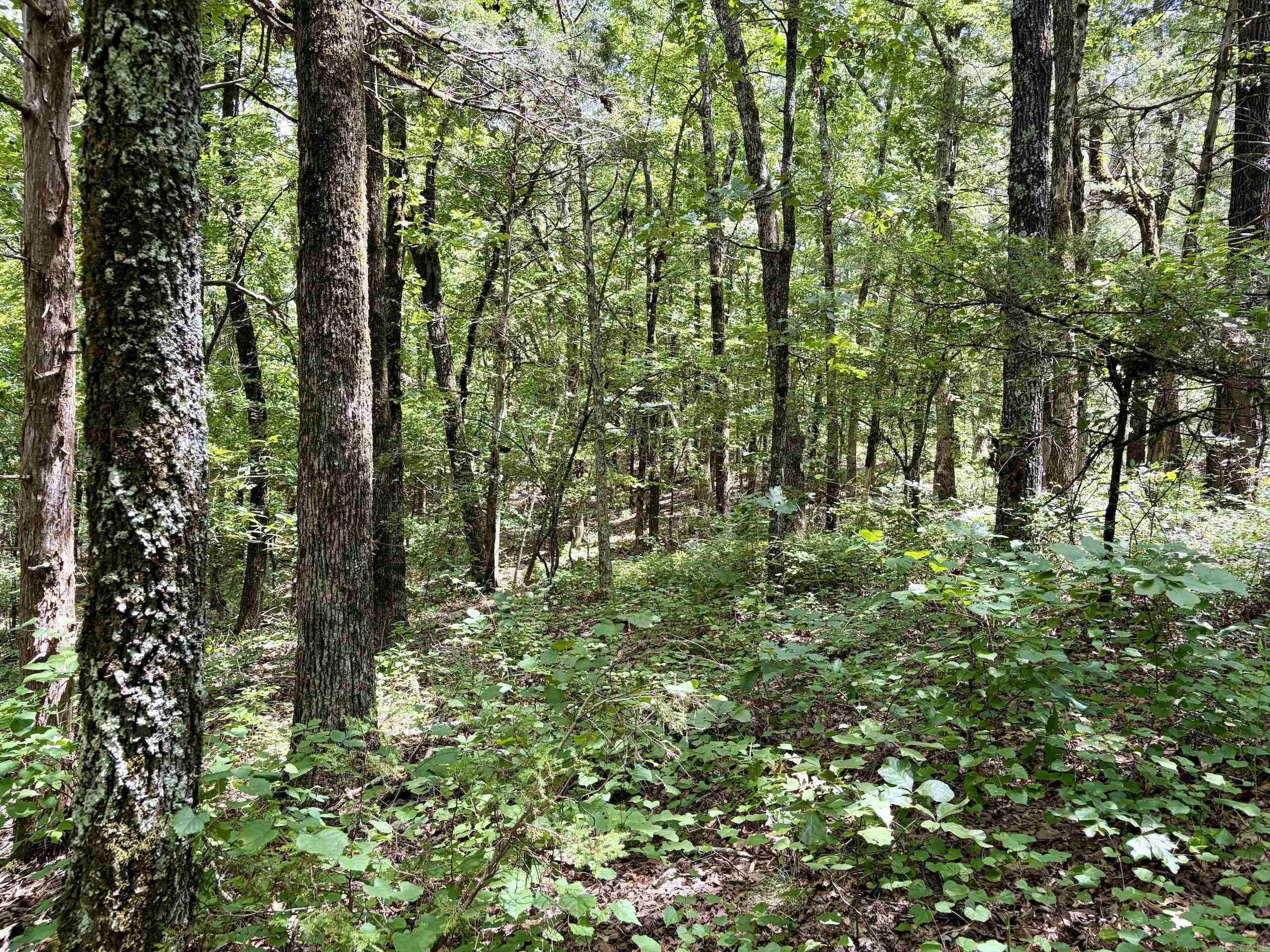 000 Bee Branch Road Property Photo 26