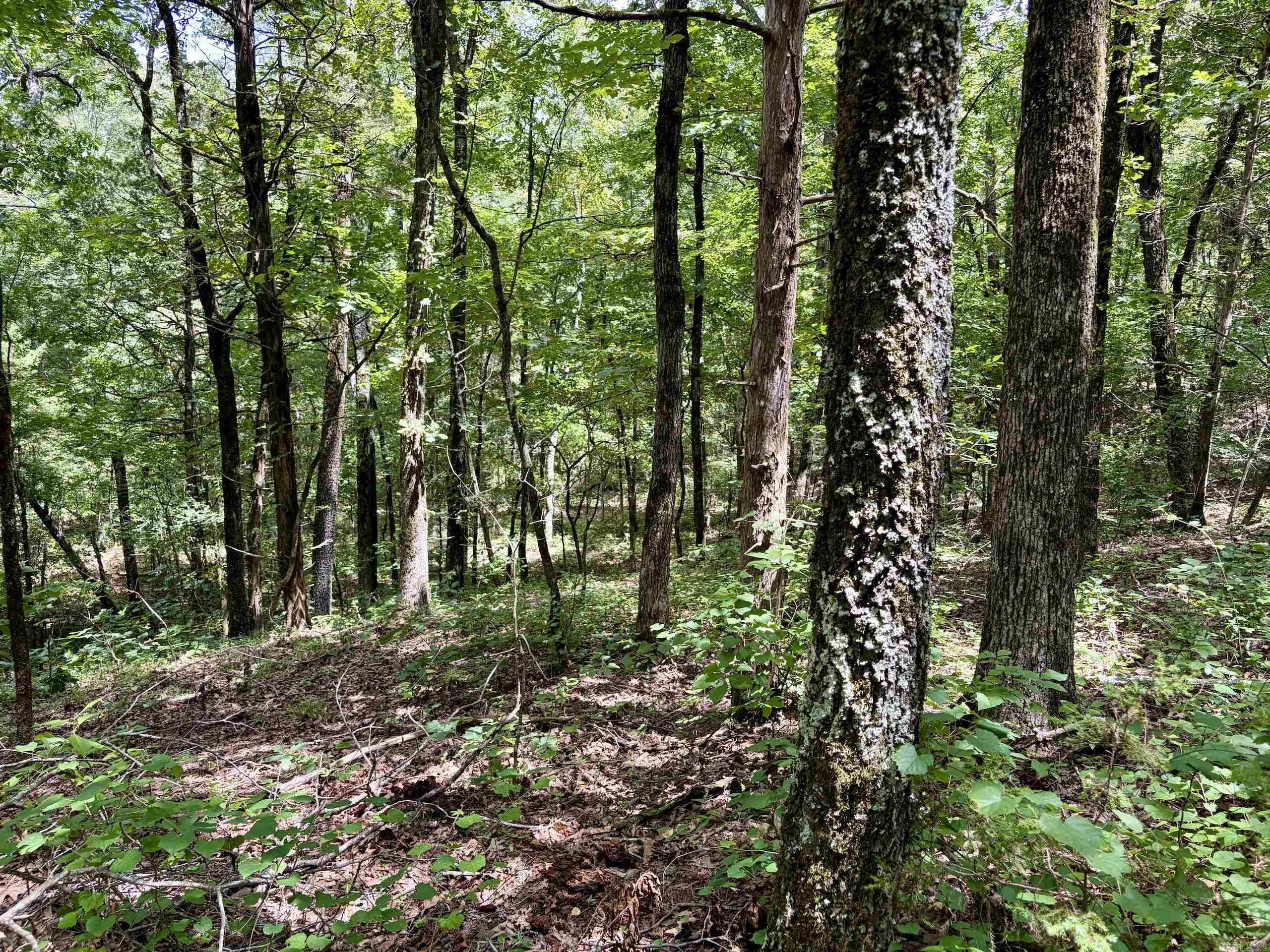 000 Bee Branch Road Property Photo 27