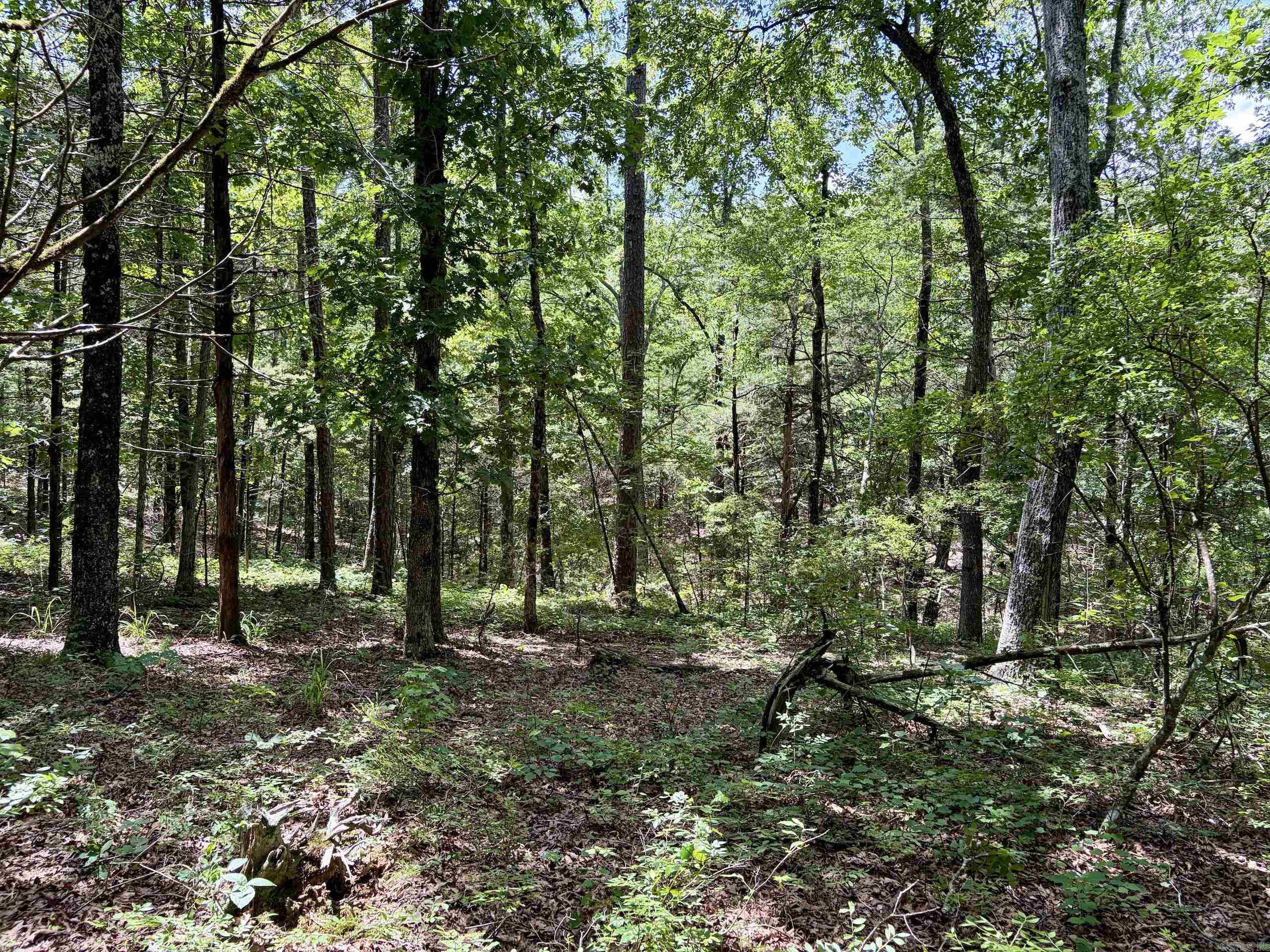 000 Bee Branch Road Property Photo 28
