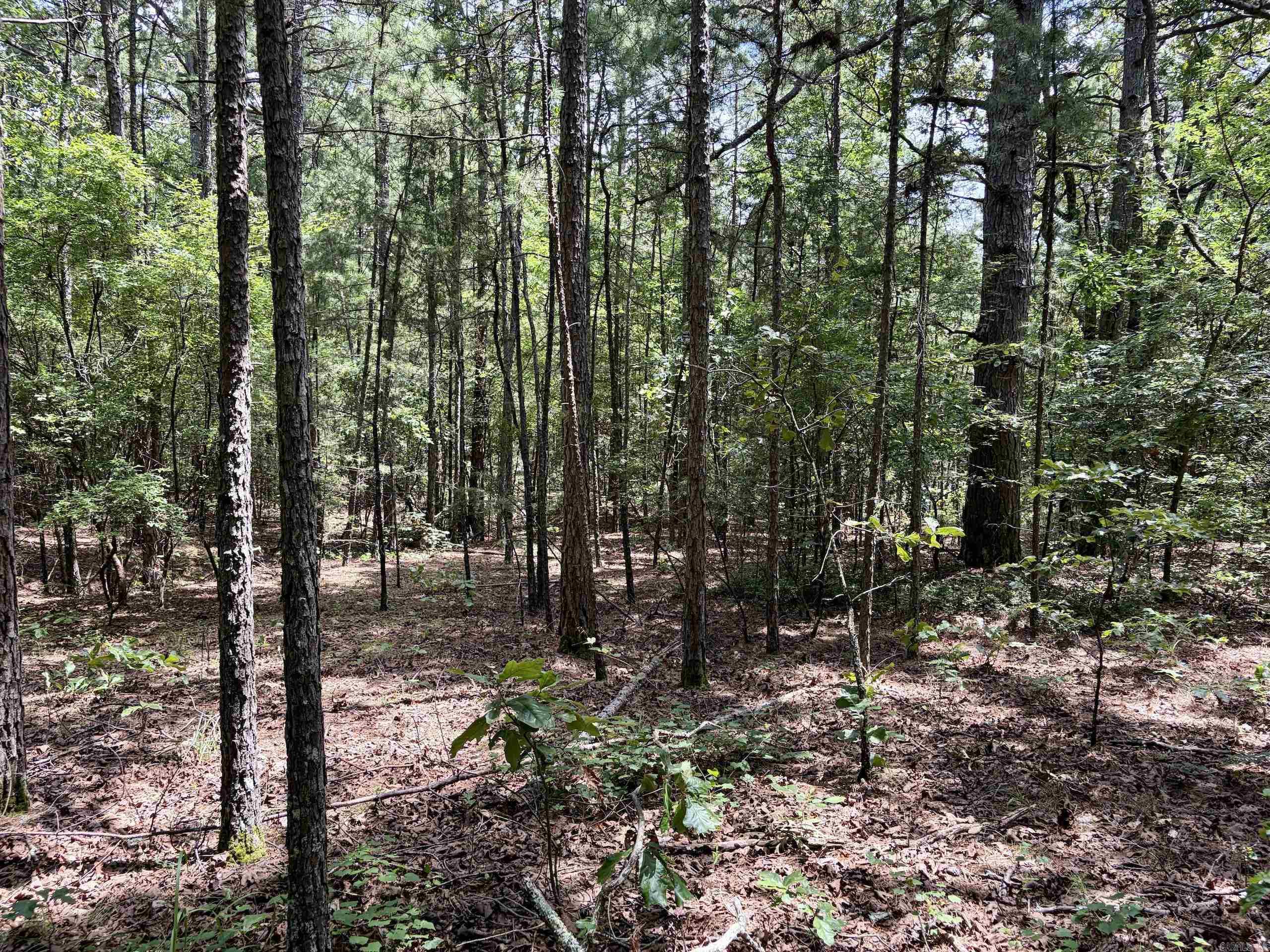 000 Bee Branch Road Property Photo 37
