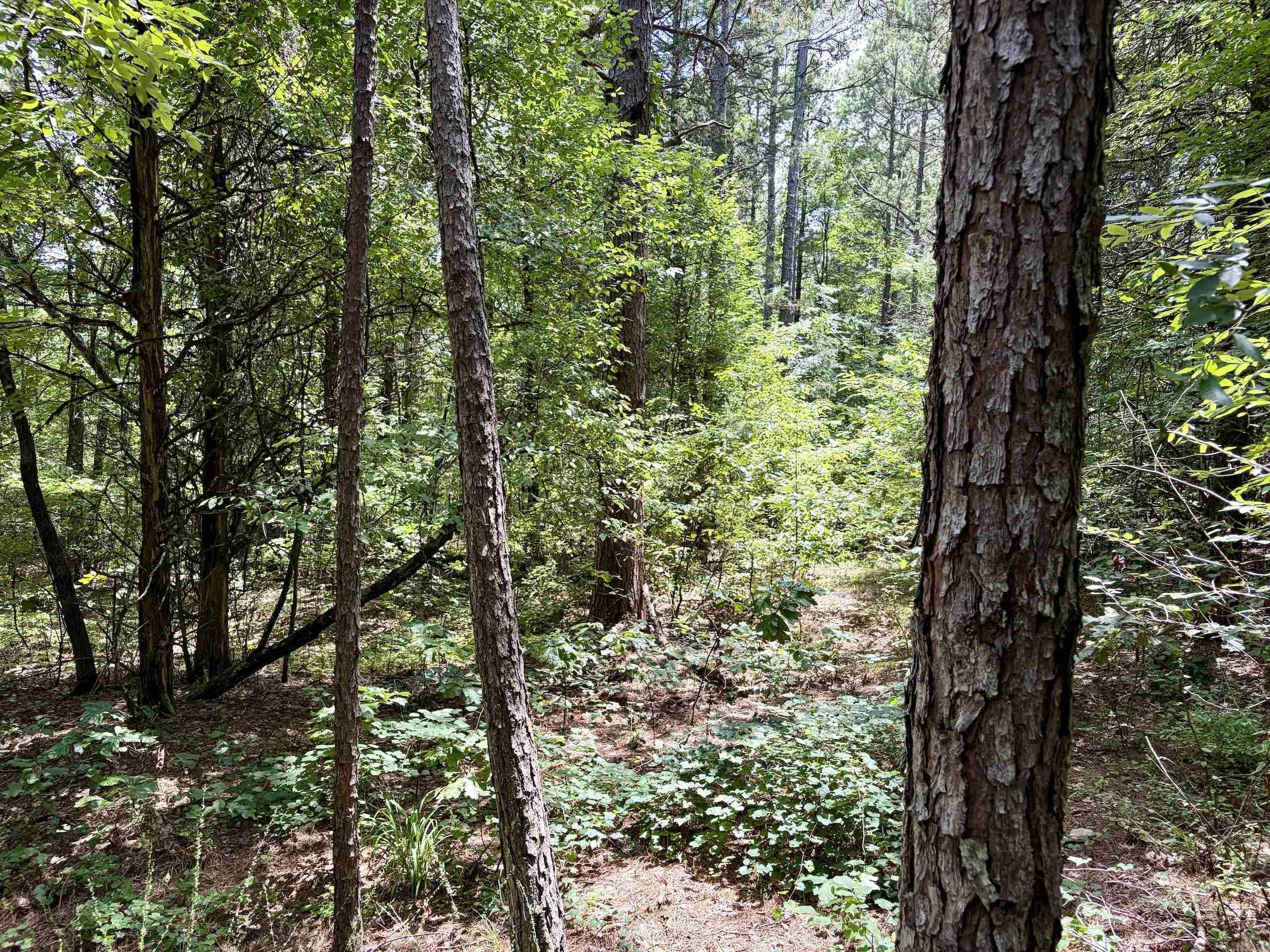 000 Bee Branch Road Property Photo 39