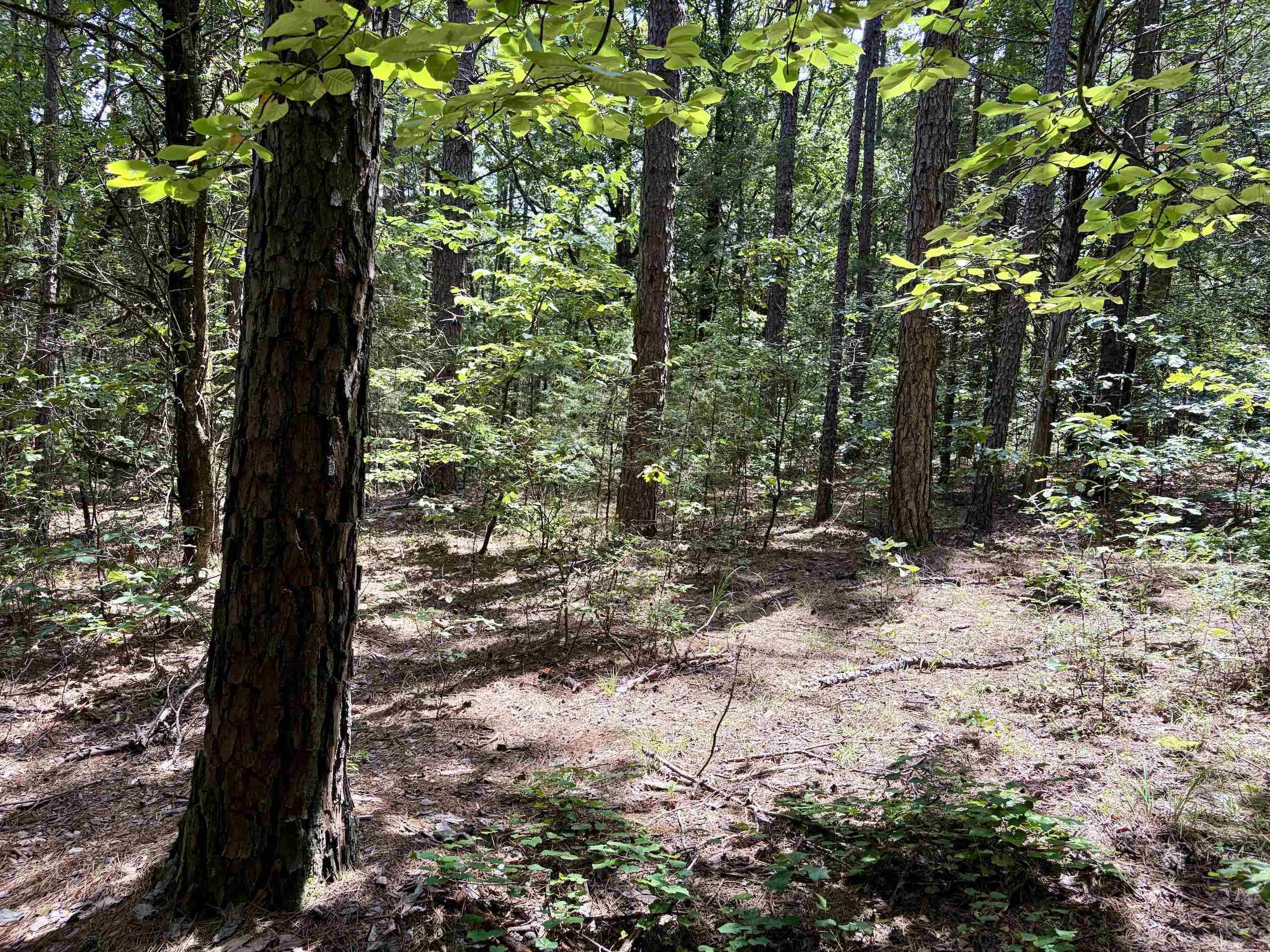 000 Bee Branch Road Property Photo 40