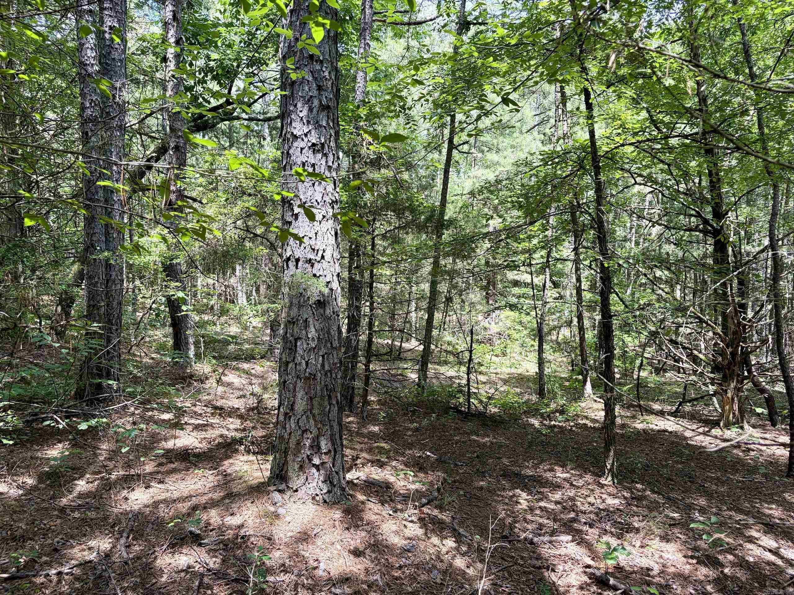 000 Bee Branch Road Property Photo 42