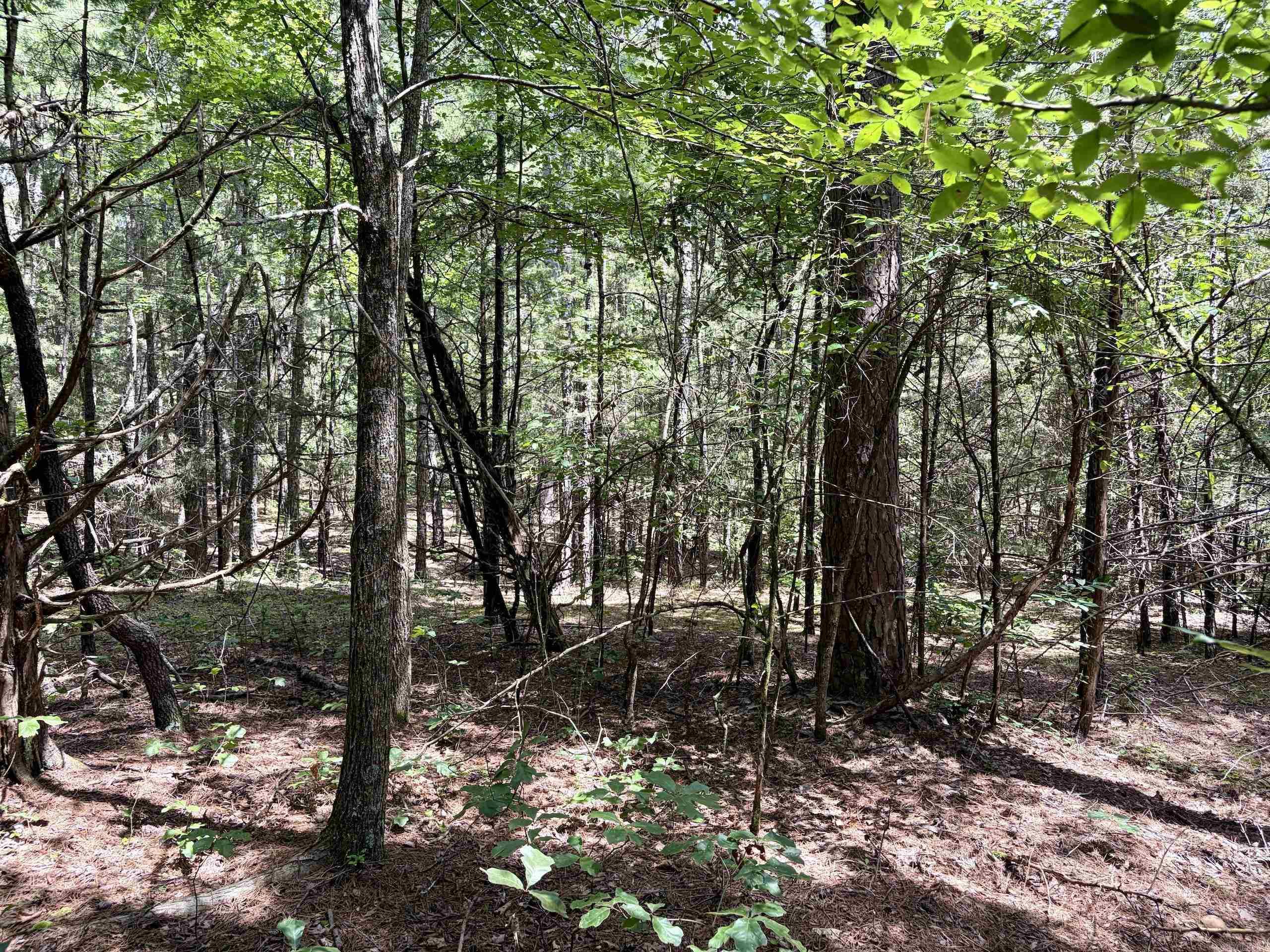 000 Bee Branch Road Property Photo 43