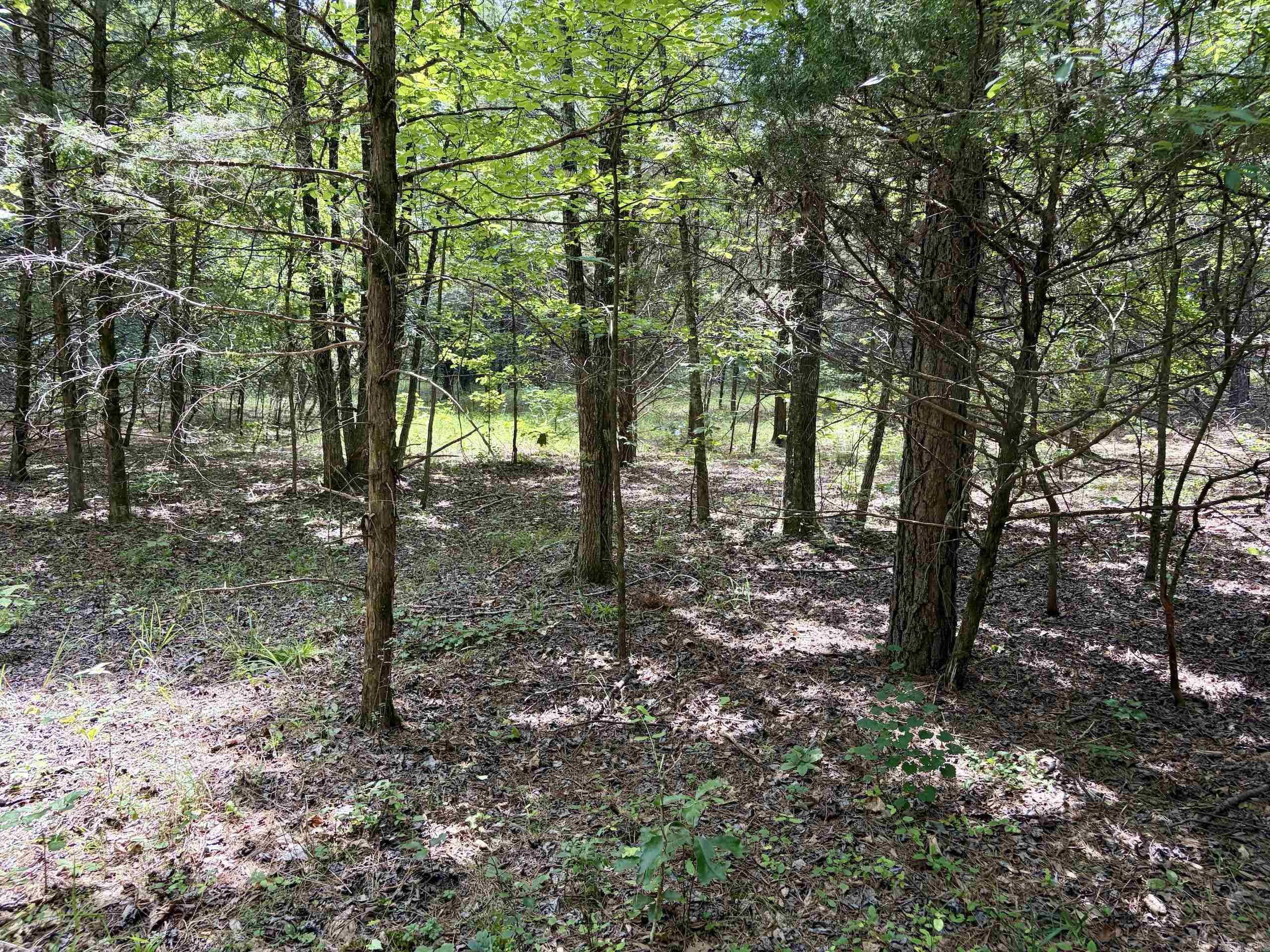000 Bee Branch Road Property Photo 44