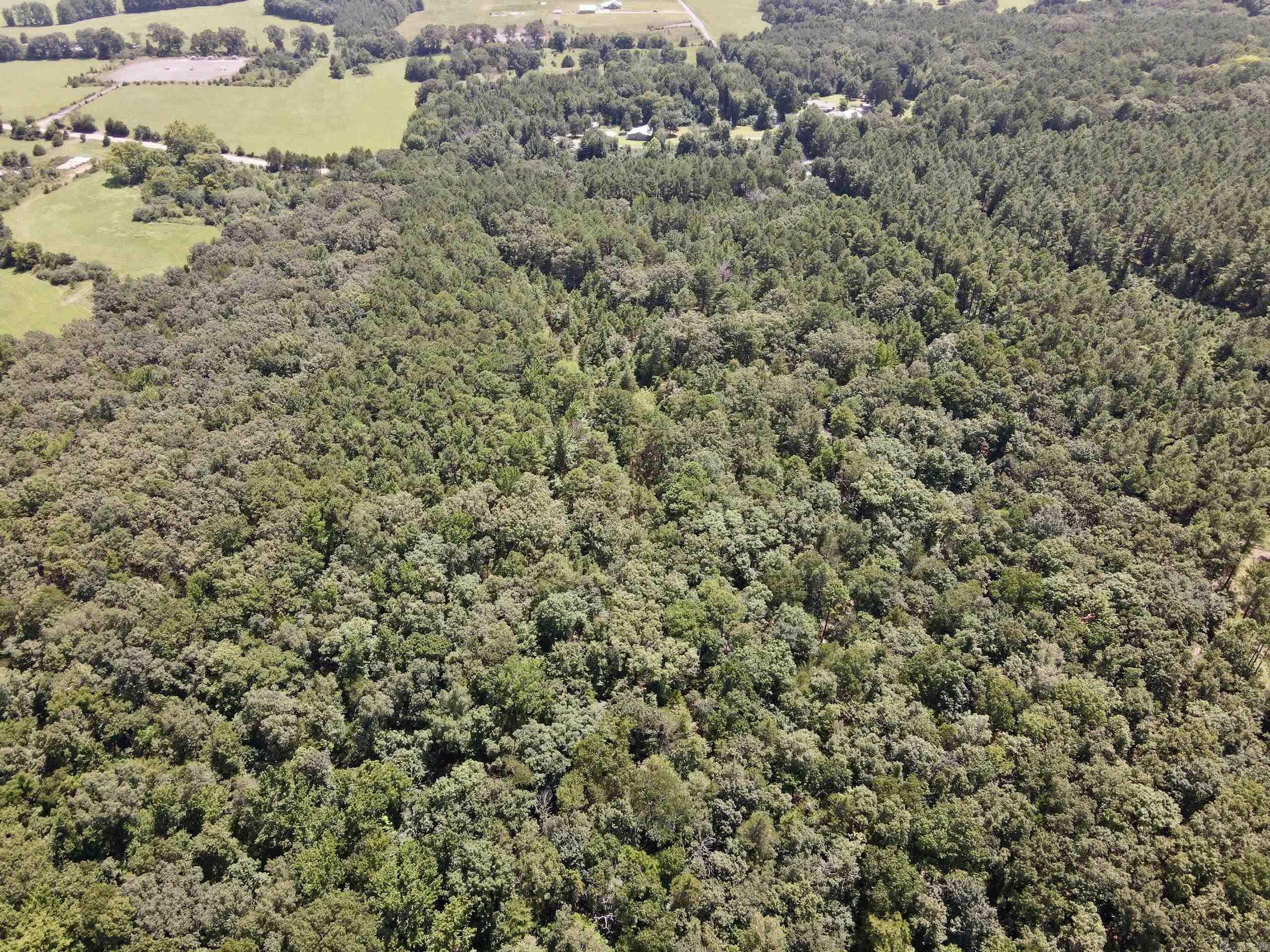 000 Bee Branch Road Property Photo 46