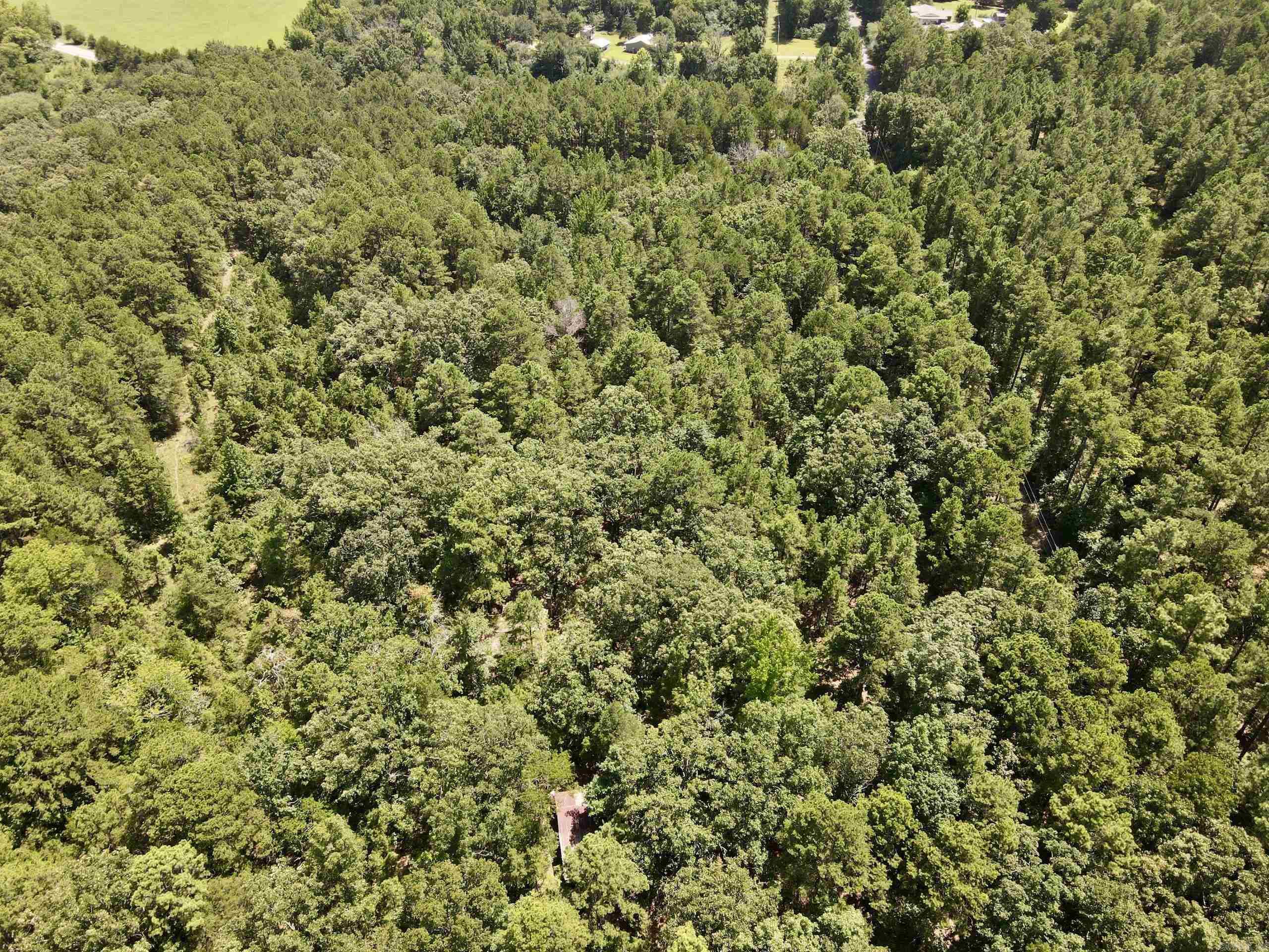 000 Bee Branch Road Property Photo 47