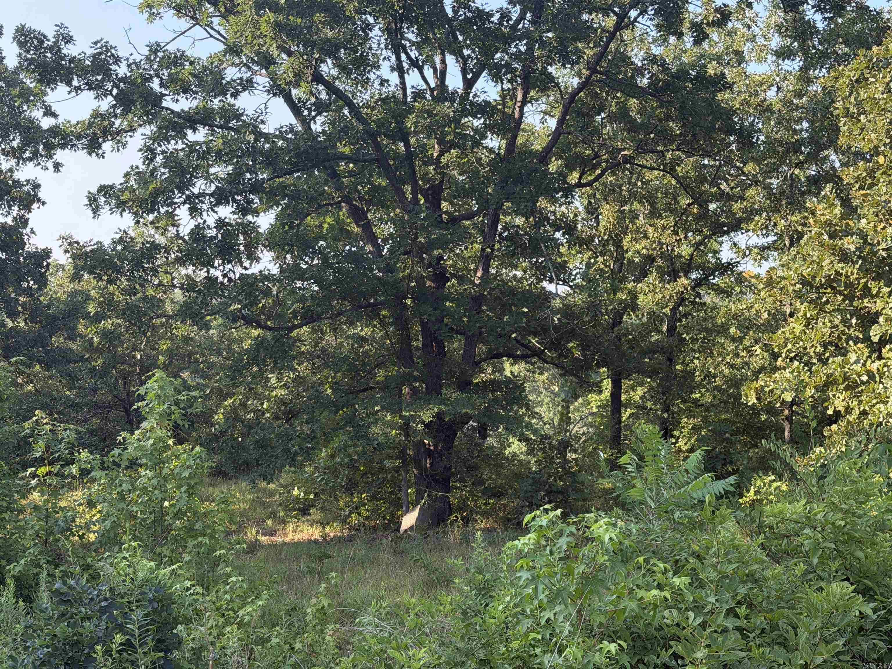 000 Lale Ridge Estates Property Photo 3