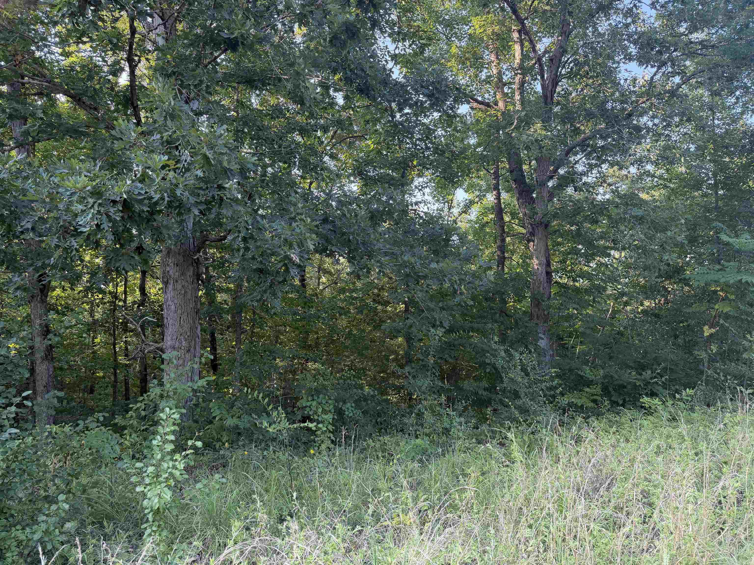 000 Lale Ridge Estates Property Photo 4