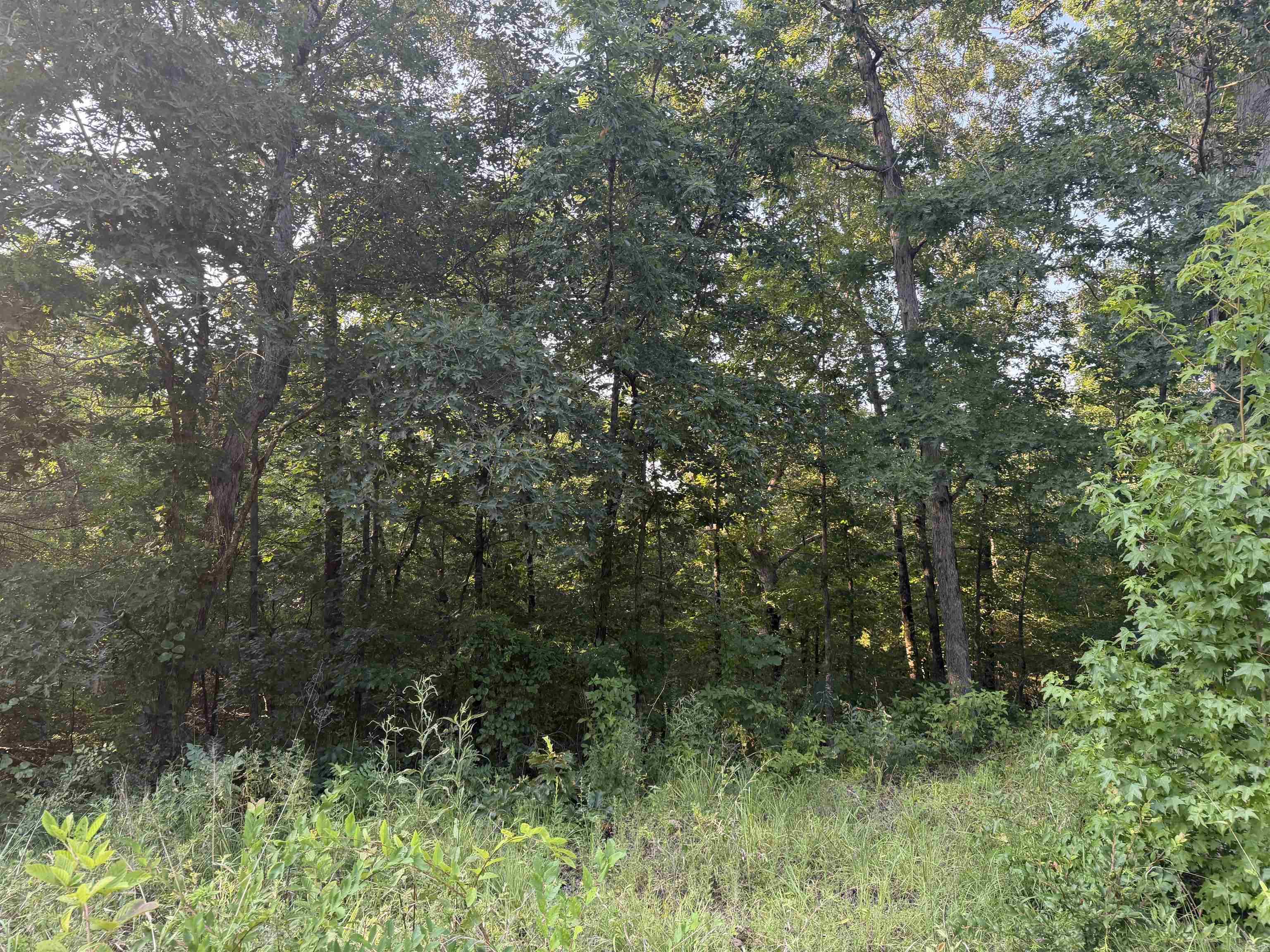 000 Lale Ridge Estates Property Photo 5