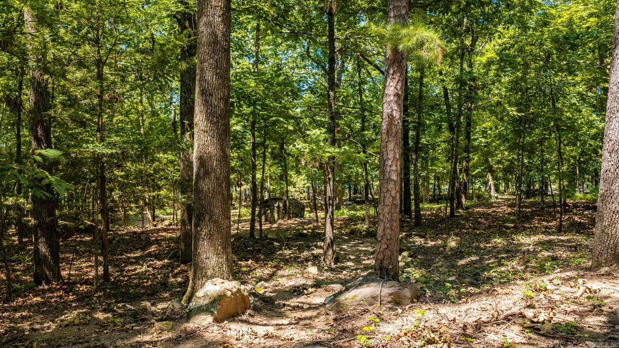 513 Stony Ridge Rd Property Photo 41