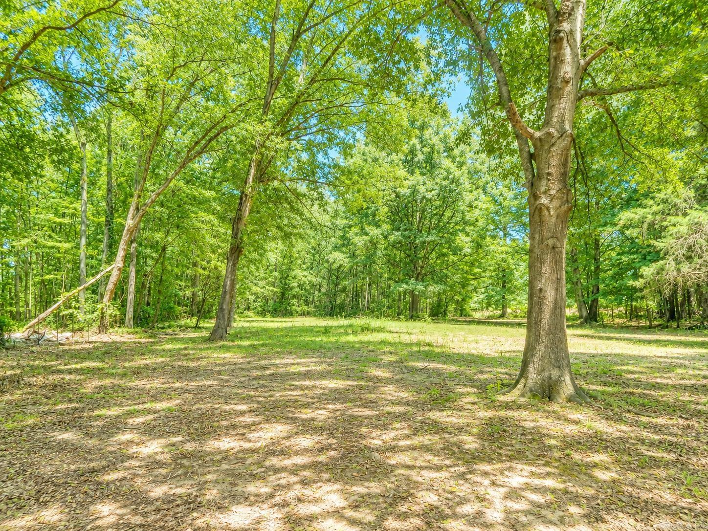 249 Mud Cat Rd Road Property Photo 6