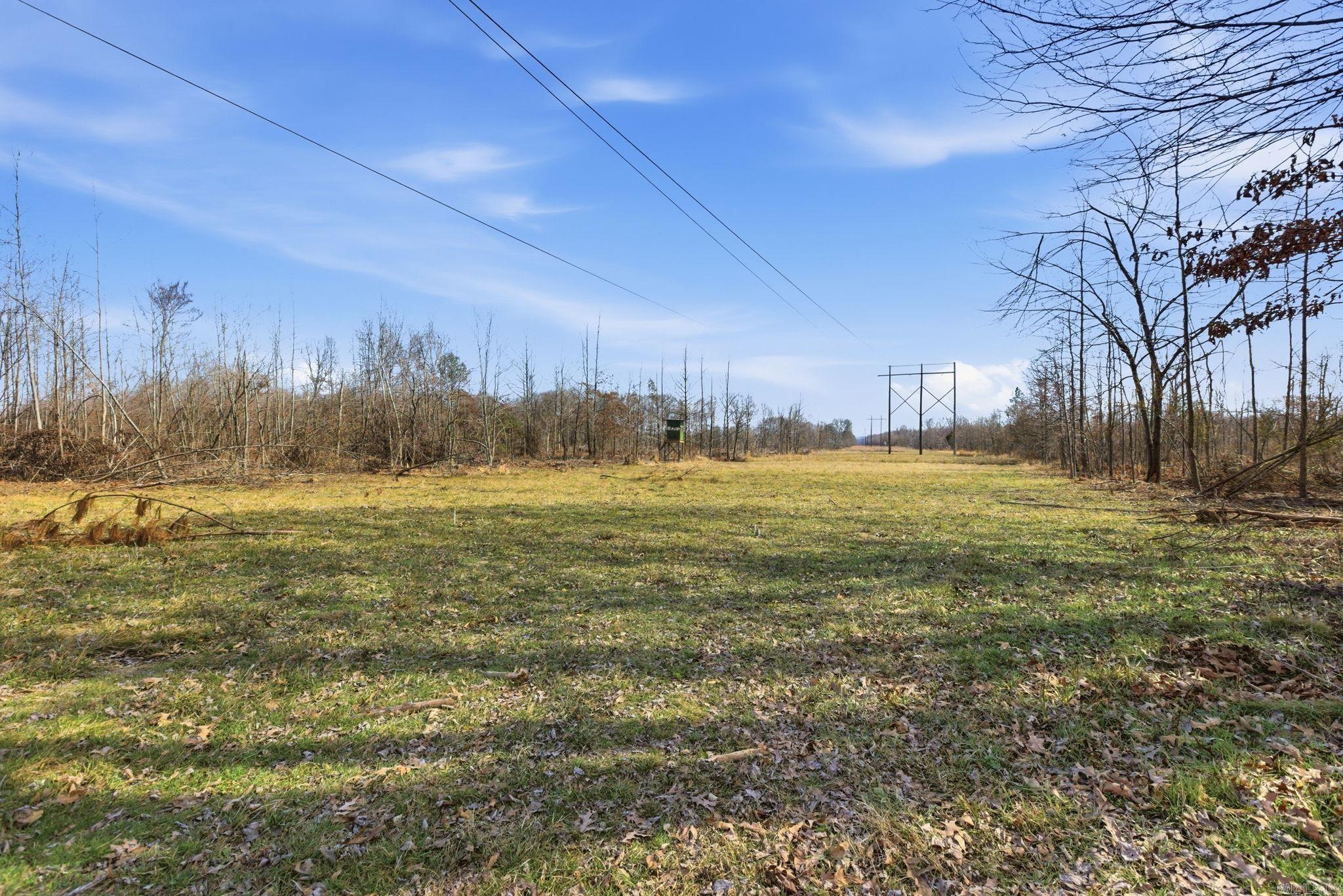 1003 Wildwood Cove Property Photo 19