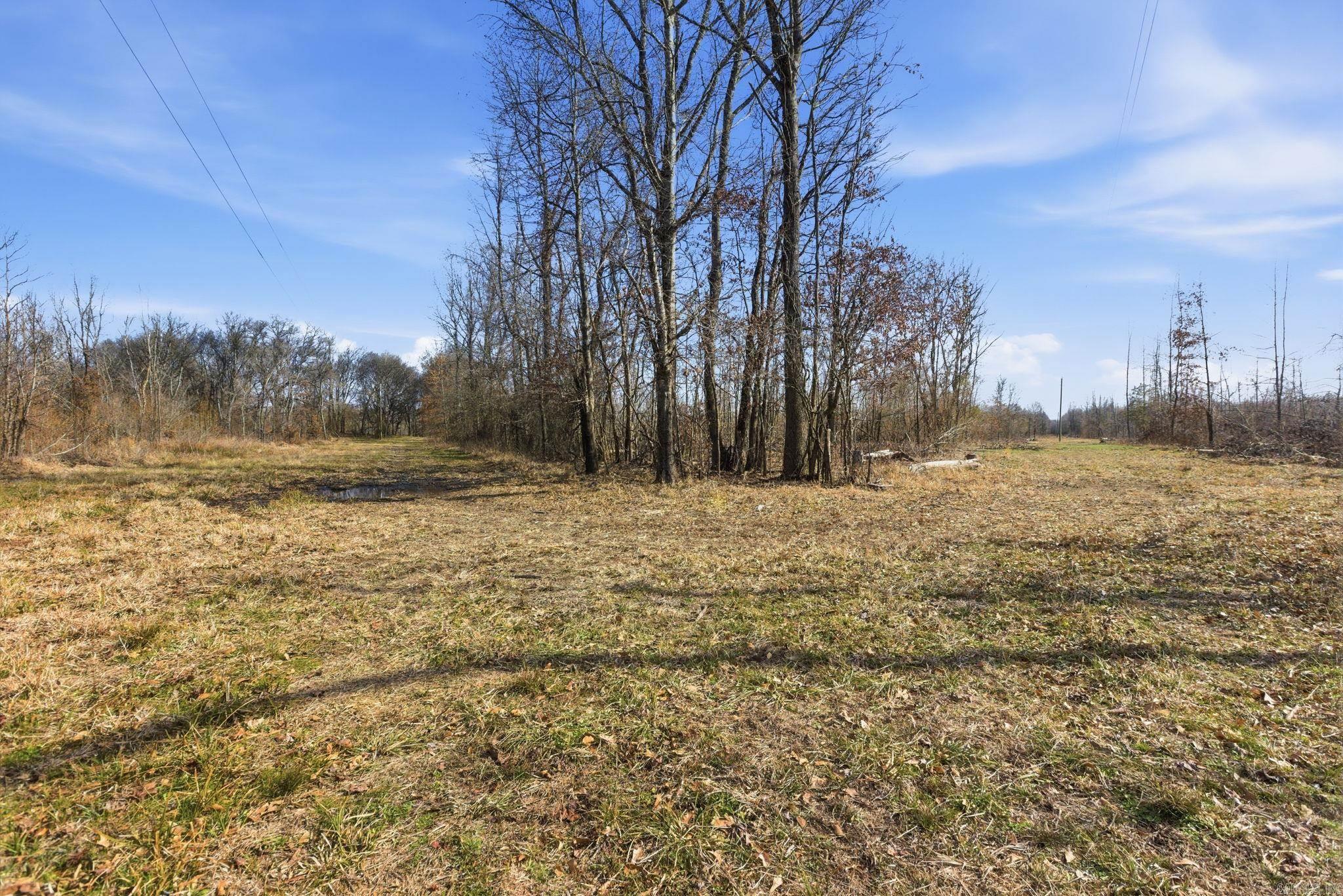 1003 Wildwood Cove Property Photo 21