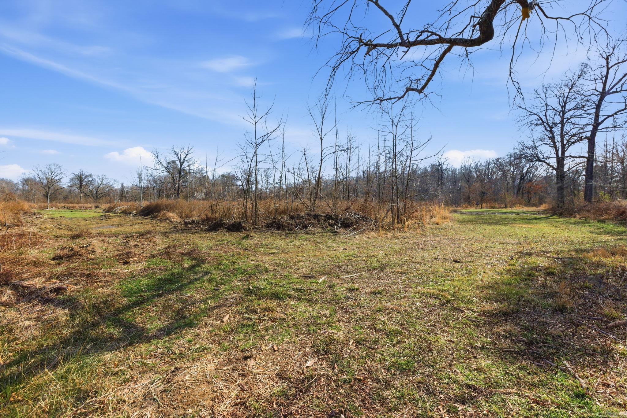 1003 Wildwood Cove Property Photo 22