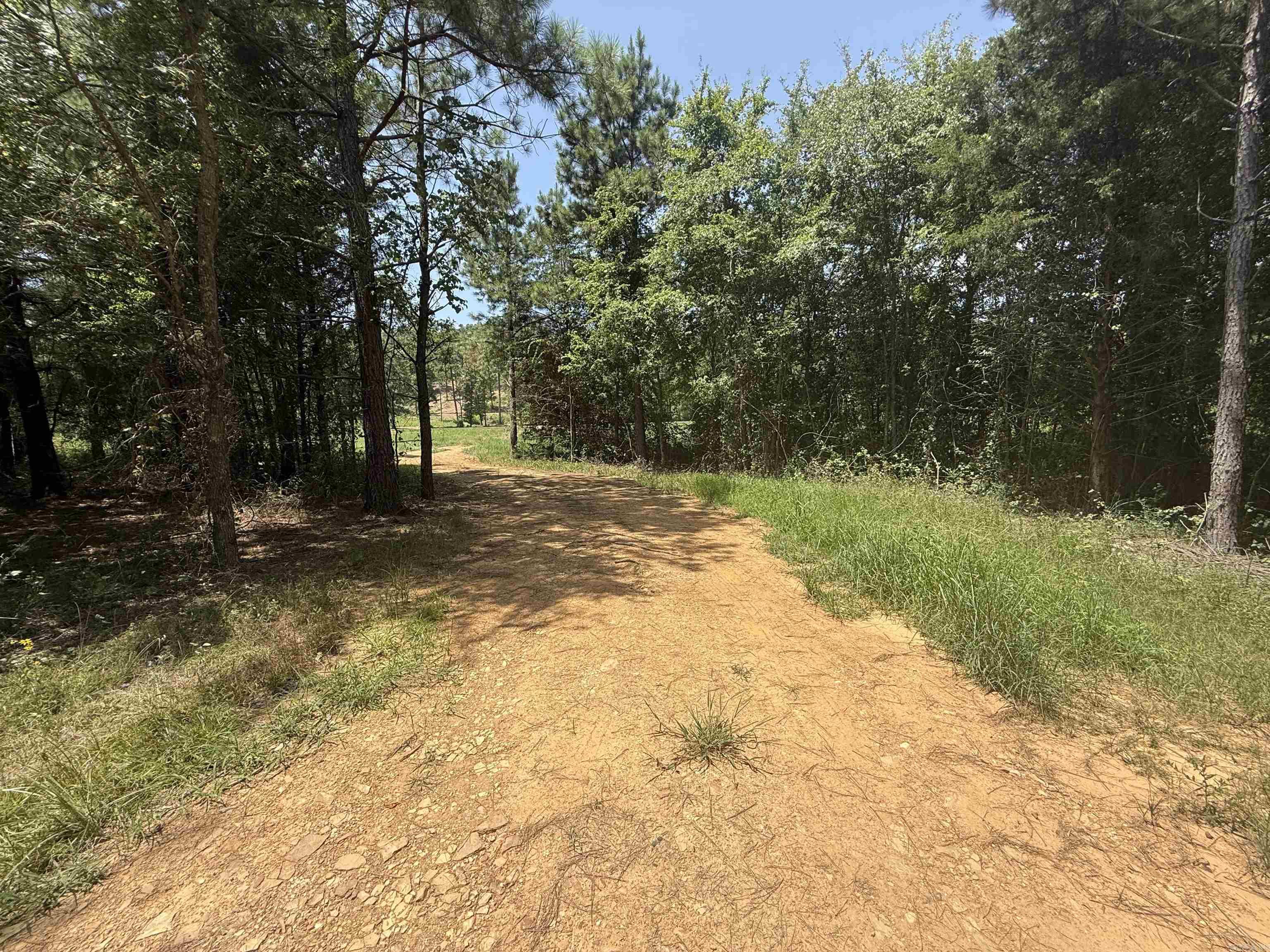 5883 Hwy 123 Property Photo 8