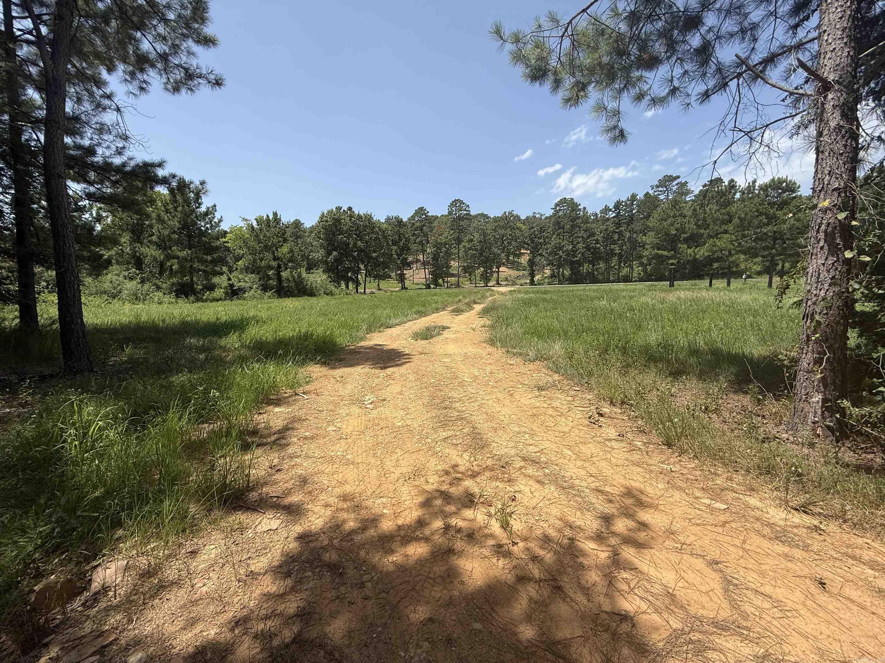 5883 Hwy 123 Property Photo 10
