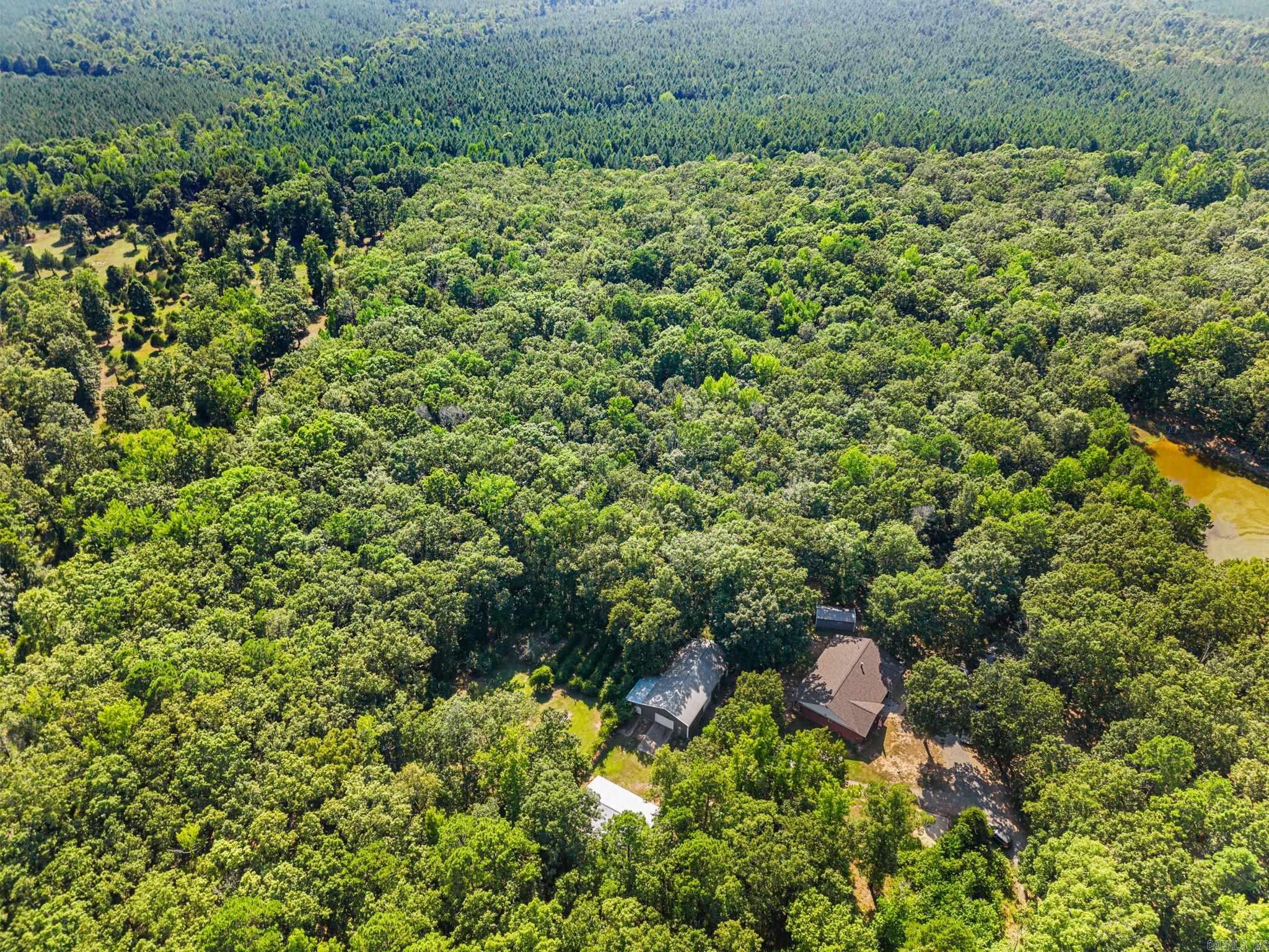 10823 Wyllia Road Property Photo 40