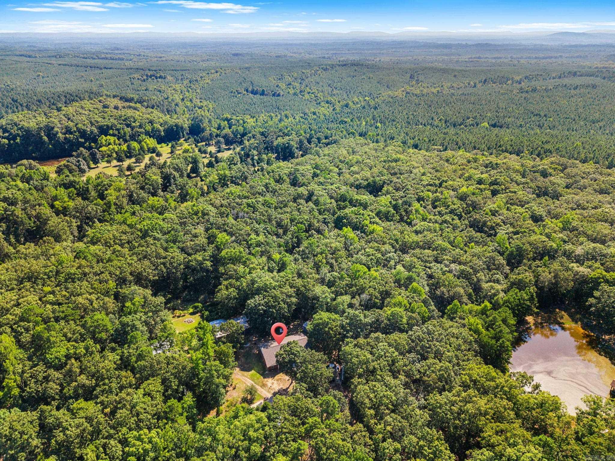 10823 Wyllia Road Property Photo 43