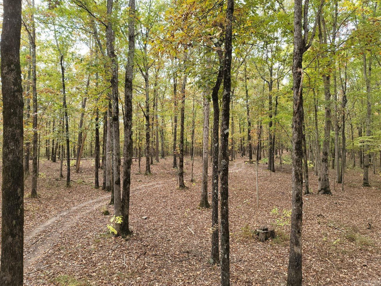 10823 Wyllia Road Property Photo 44