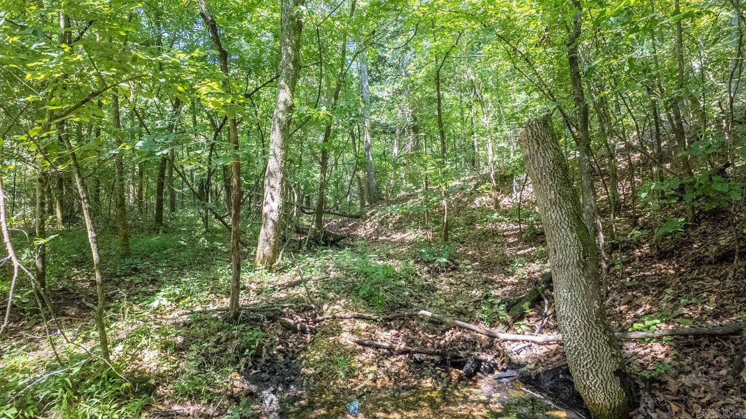 Tract 3 Upper Janes Creek Road Property Photo 4
