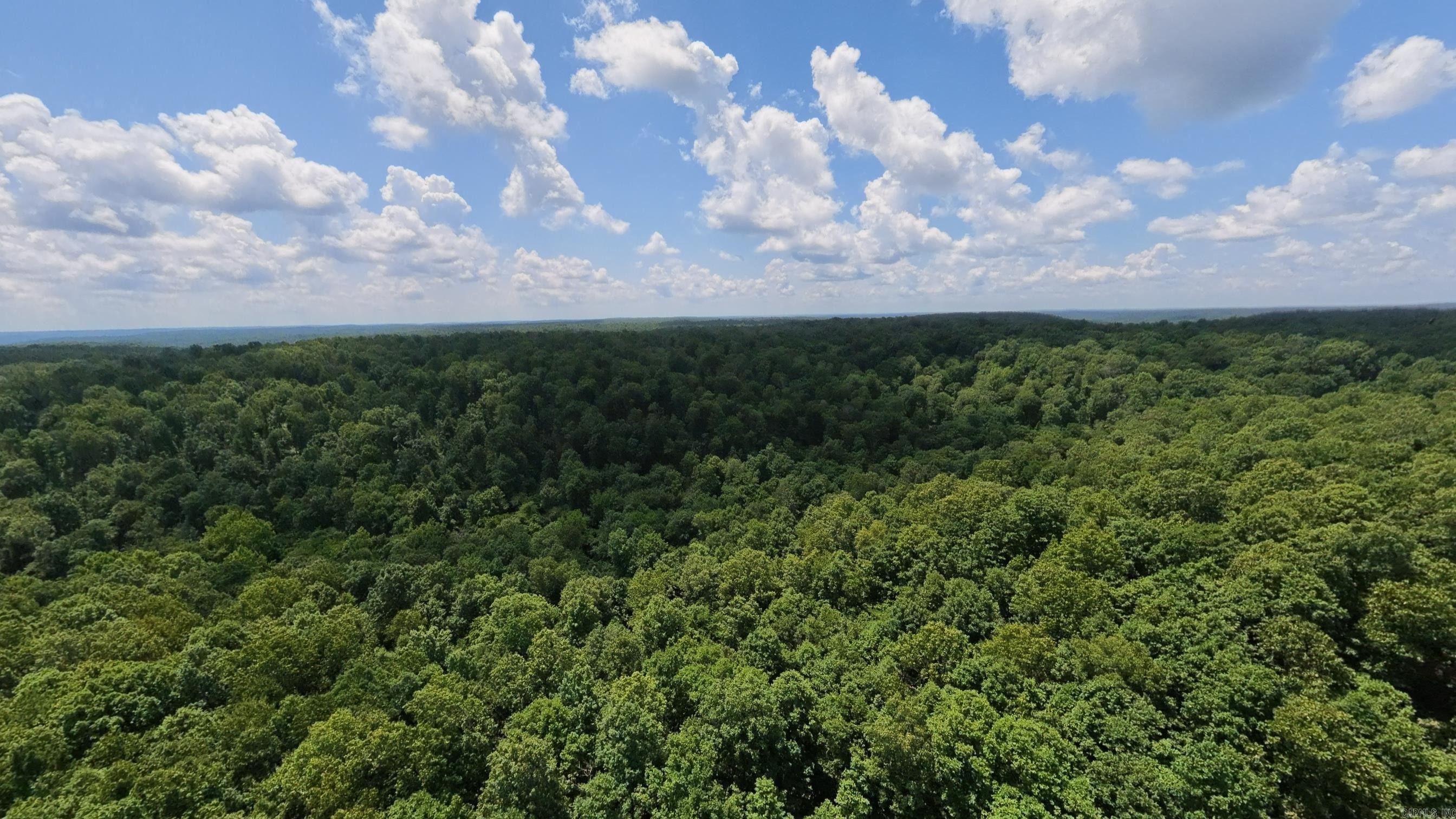 Tract 3 Upper Janes Creek Road Property Photo 18