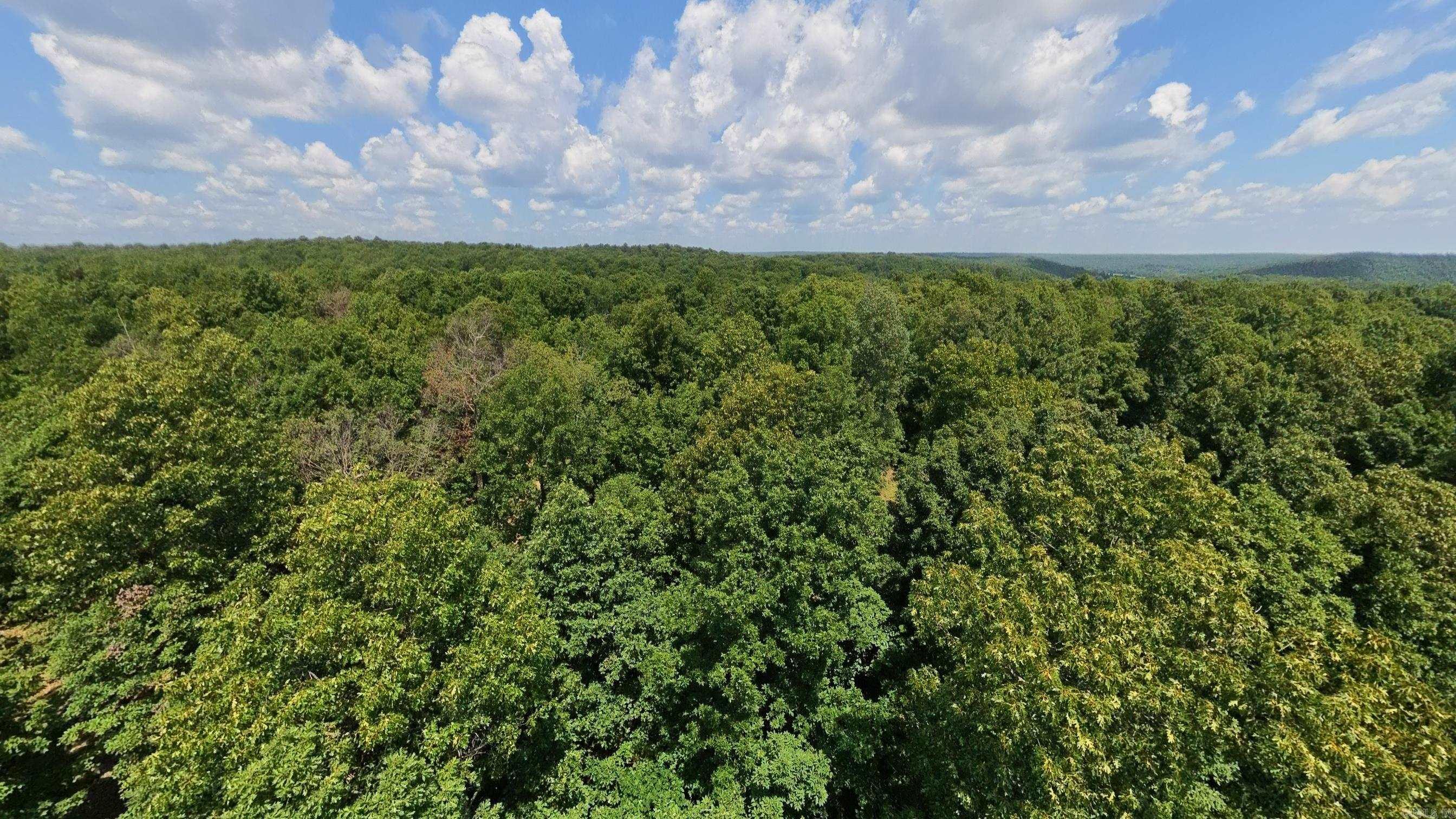 Tract 3 Upper Janes Creek Road Property Photo 23
