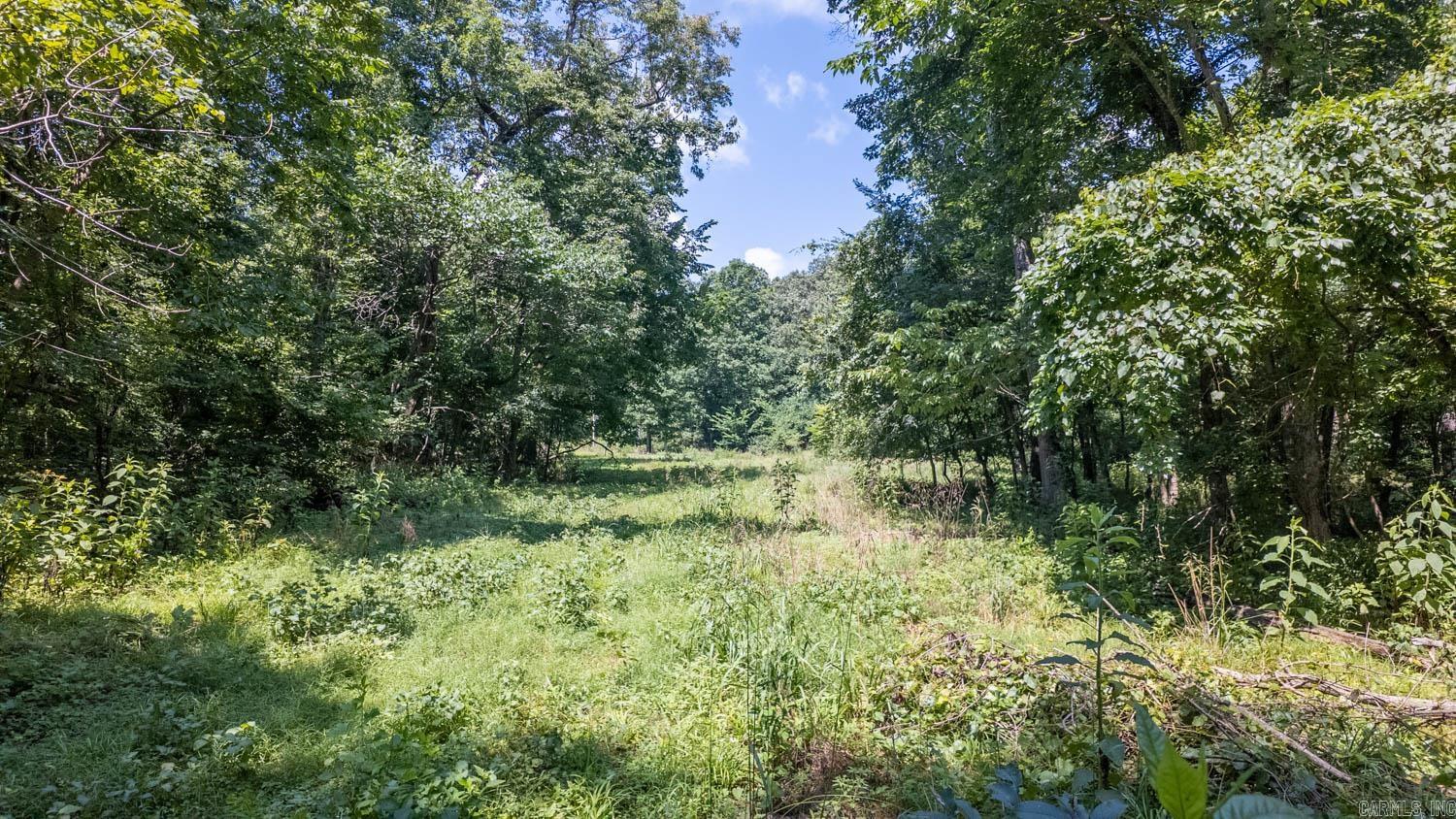 Tract 1 Upper Janes Creek Road Property Photo 3