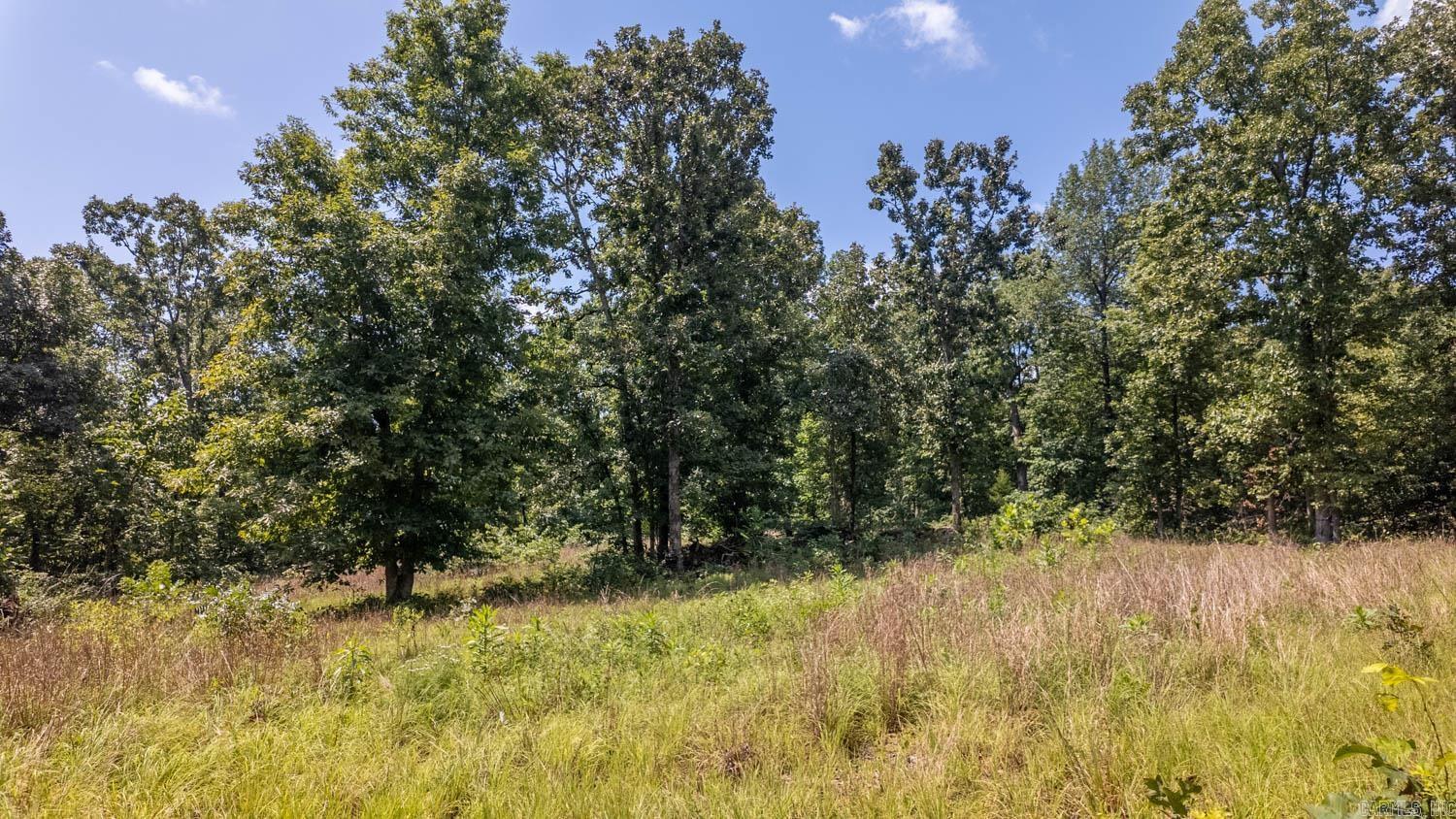Tract 1 Upper Janes Creek Road Property Photo 6
