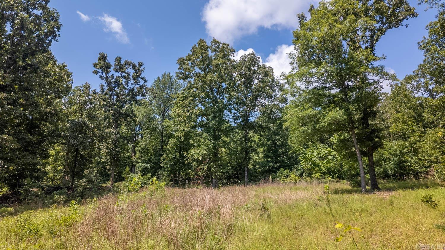 Tract 1 Upper Janes Creek Road Property Photo 7